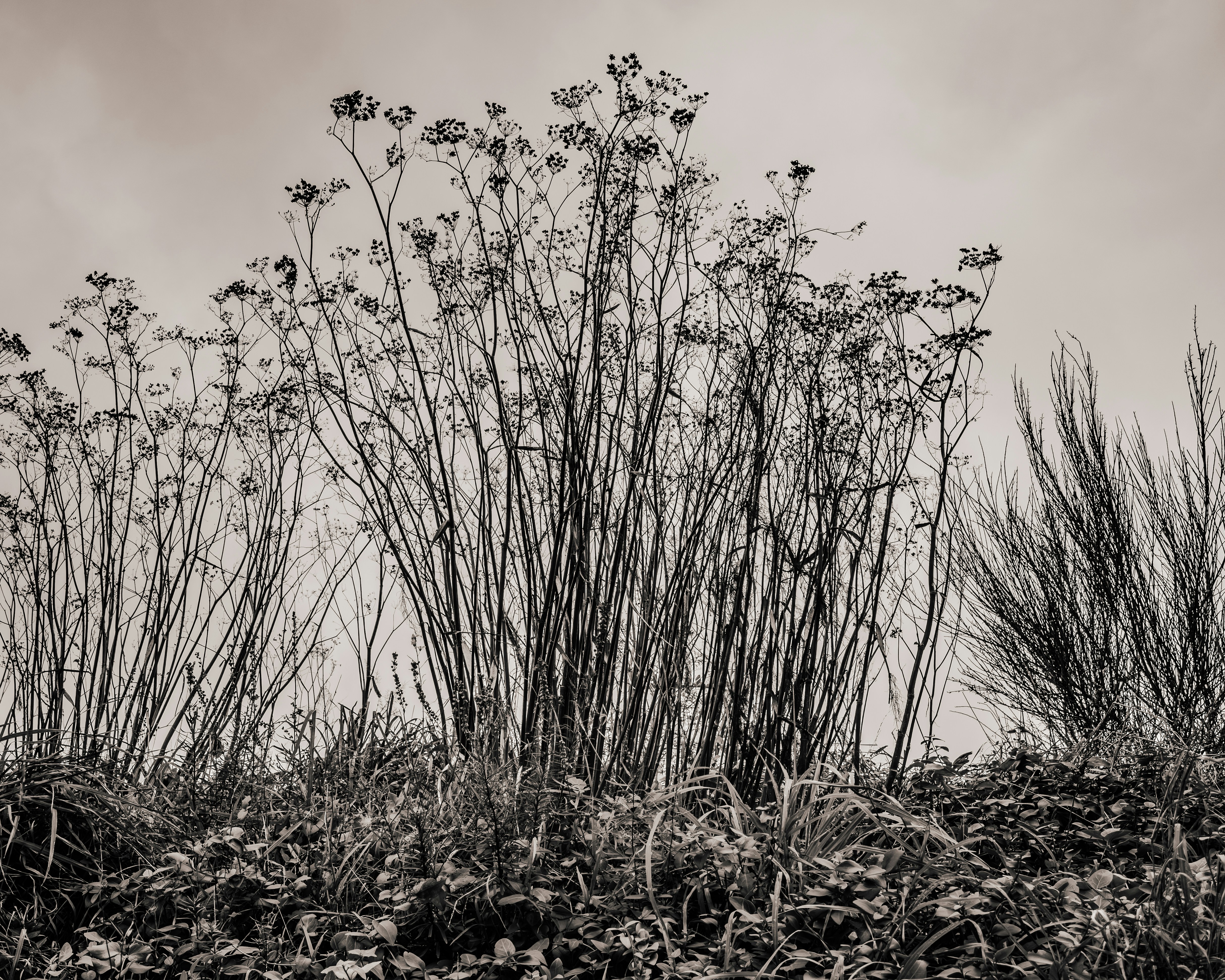 Photo by sschusterphotoart