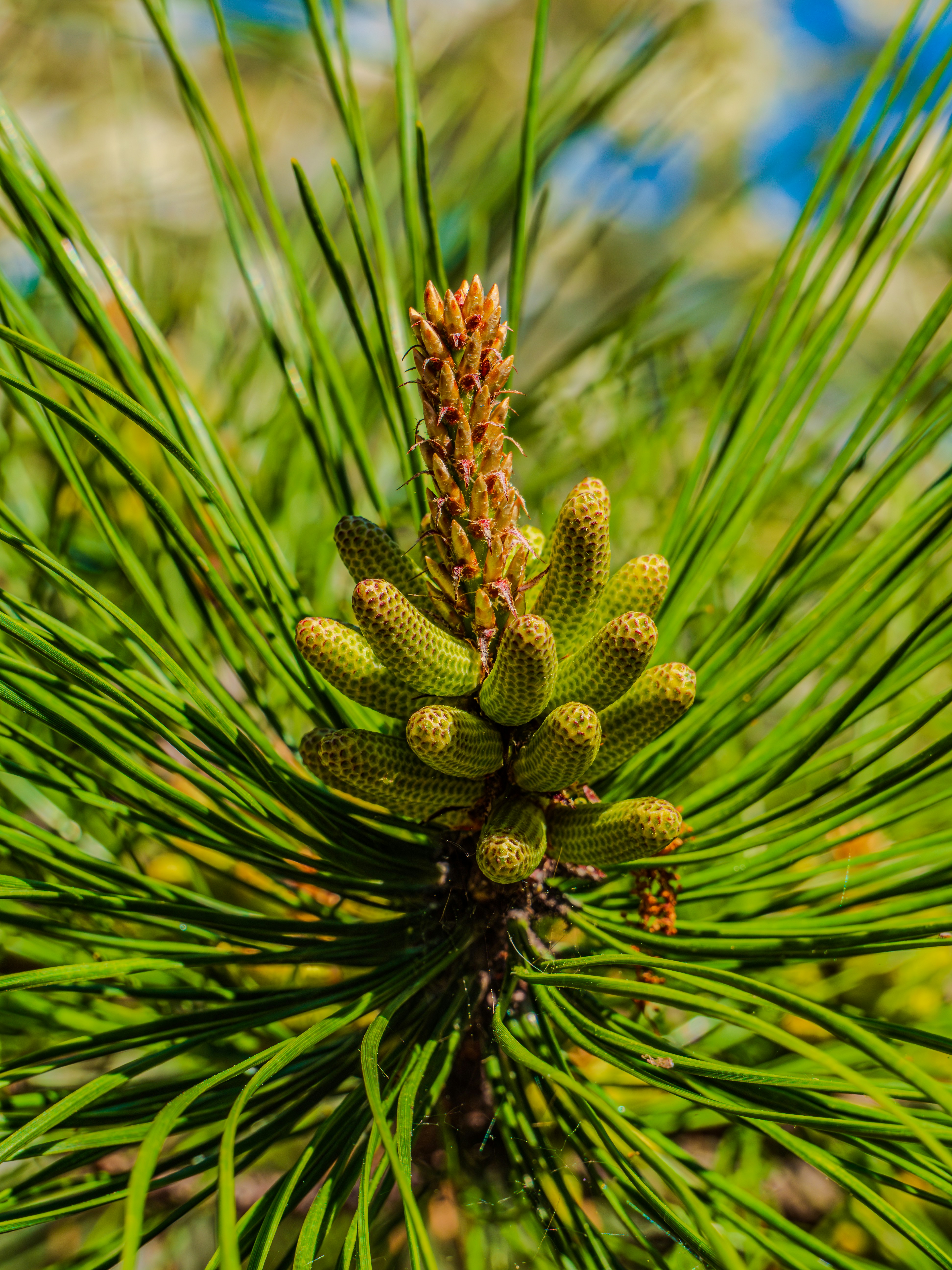 Photo by sschusterphotoart