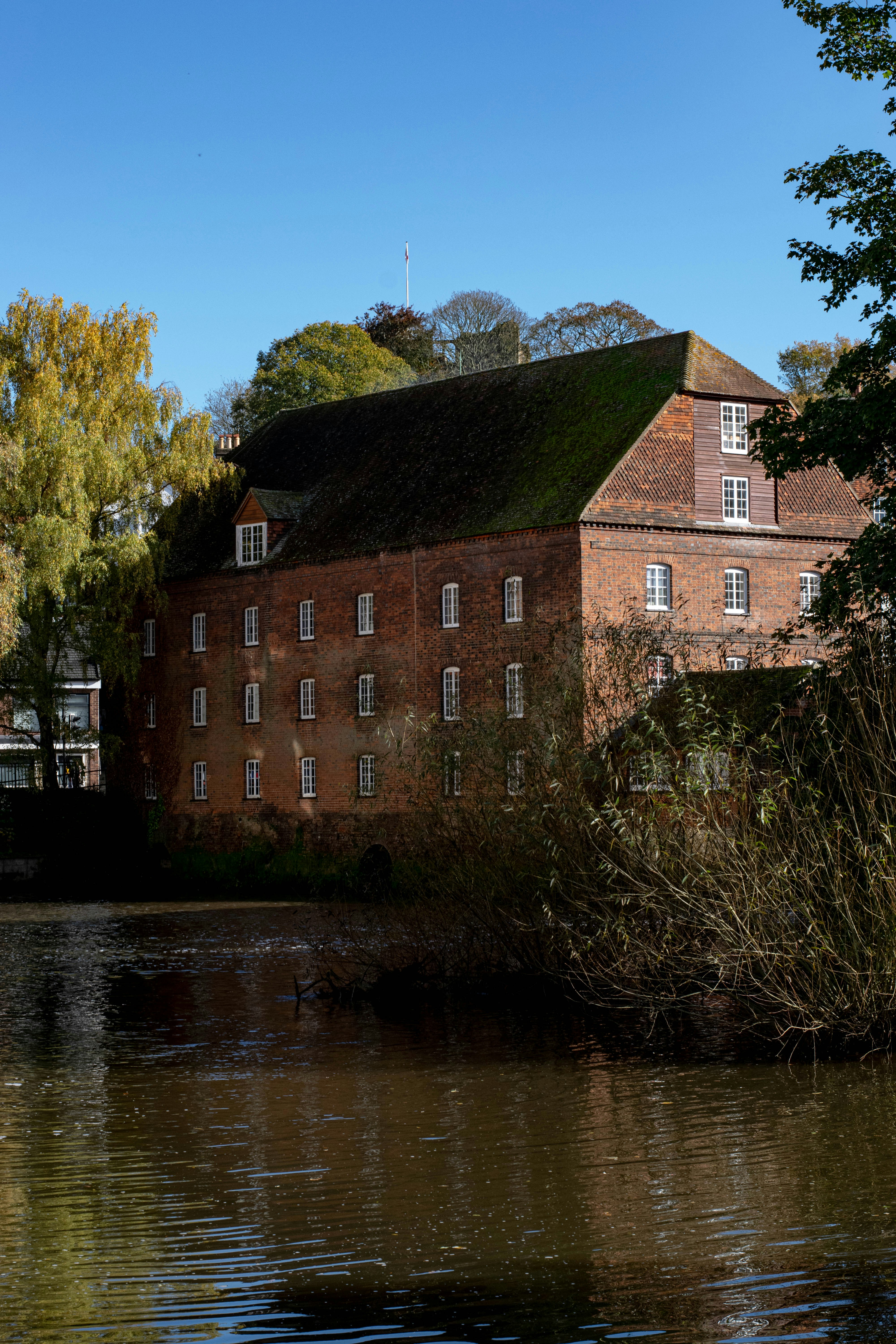 Photo by david_garrick_bangbola