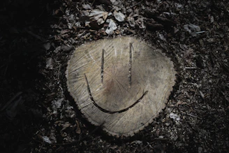 A smiley face carved into a tree stump