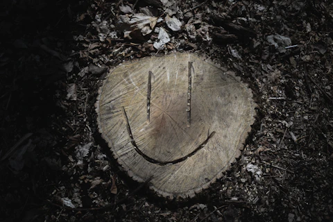 A smiley face carved into a tree stump