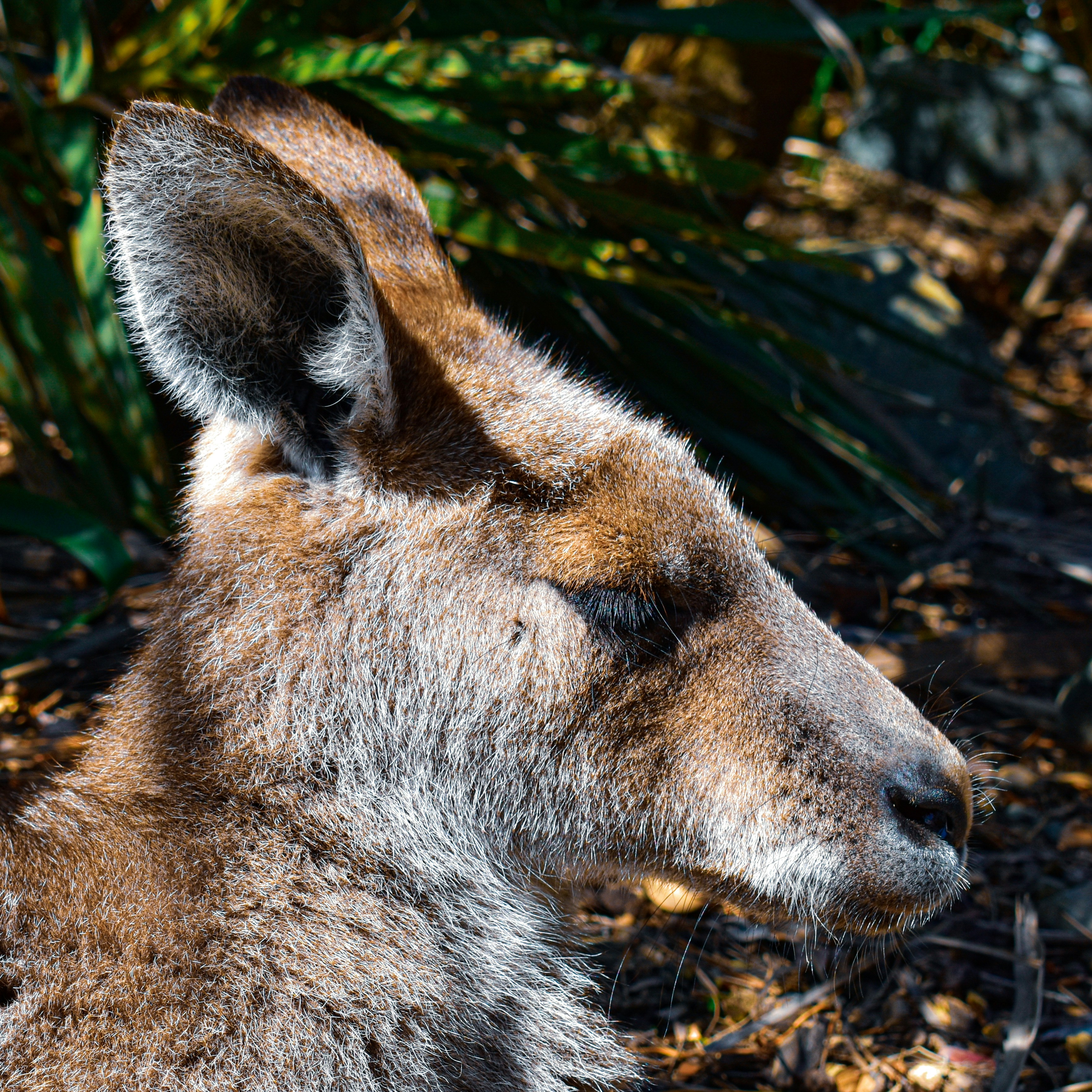 Photo by sschusterphotoart