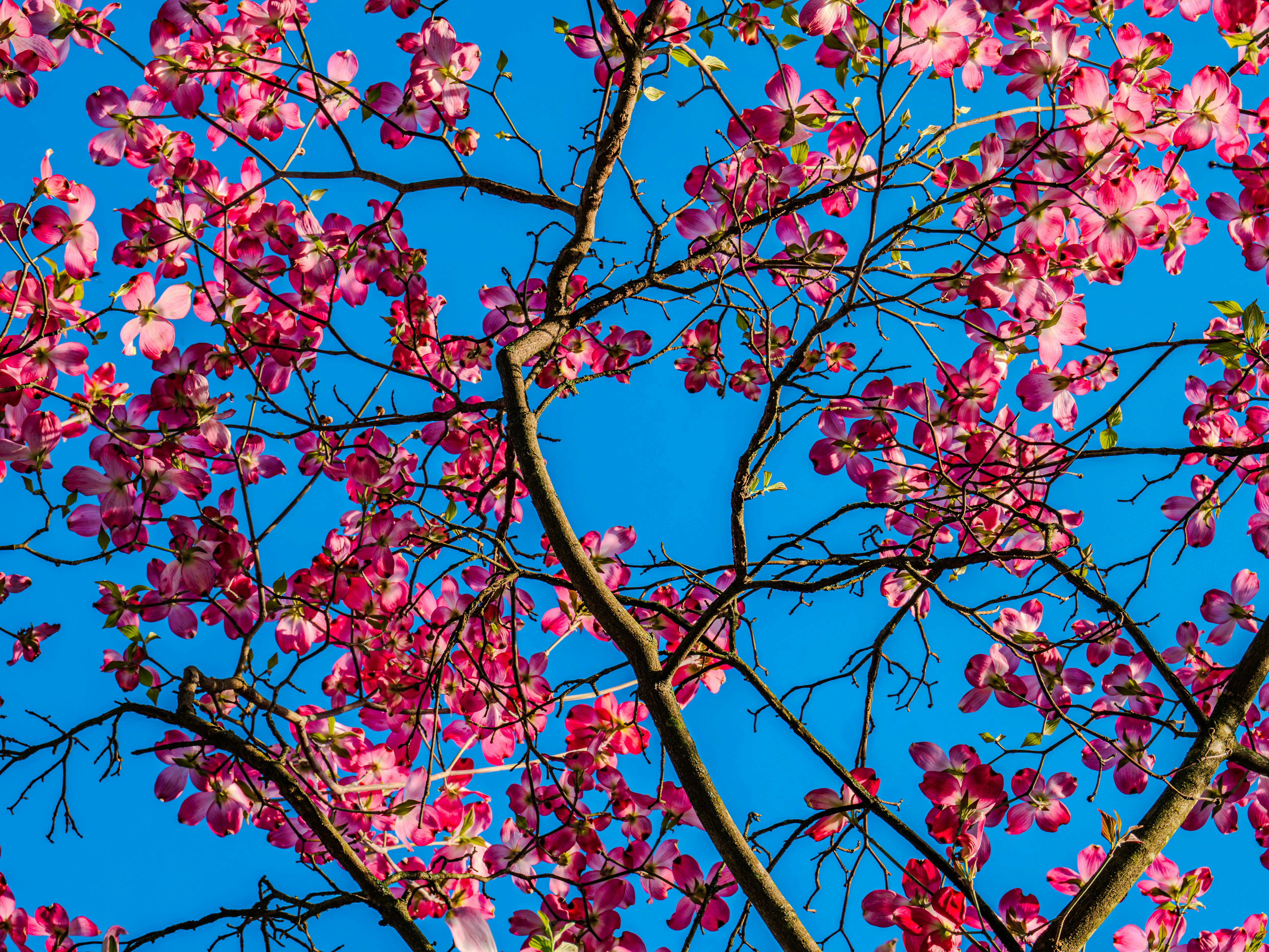 Photo by sschusterphotoart