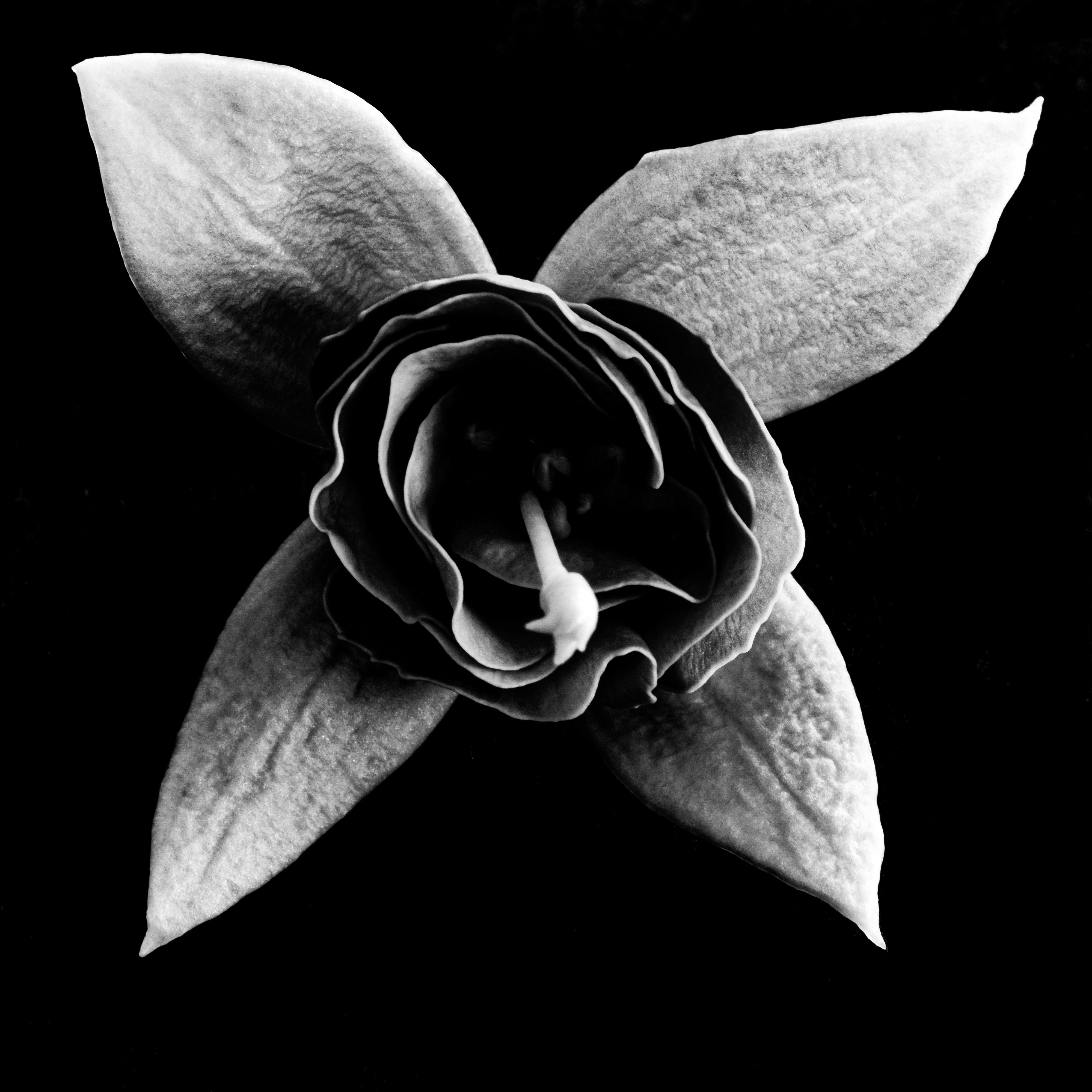 Photo by sschusterphotoart