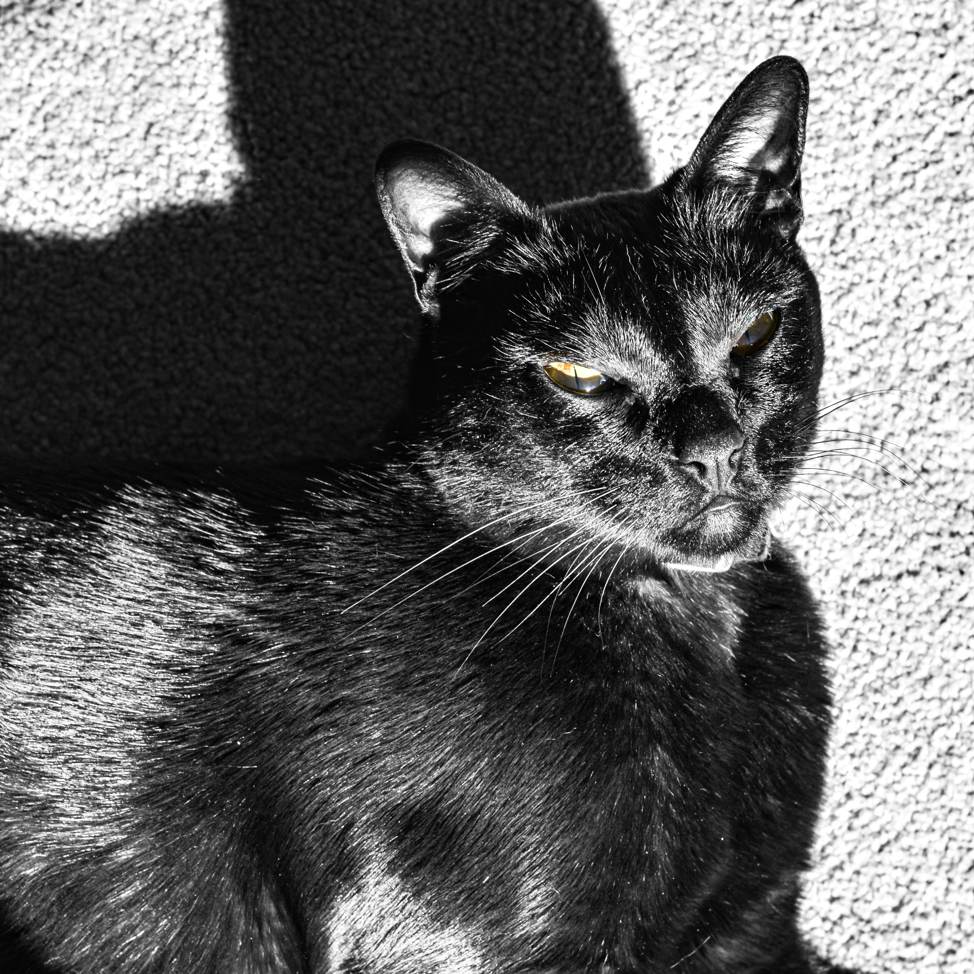 Photo by sschusterphotoart