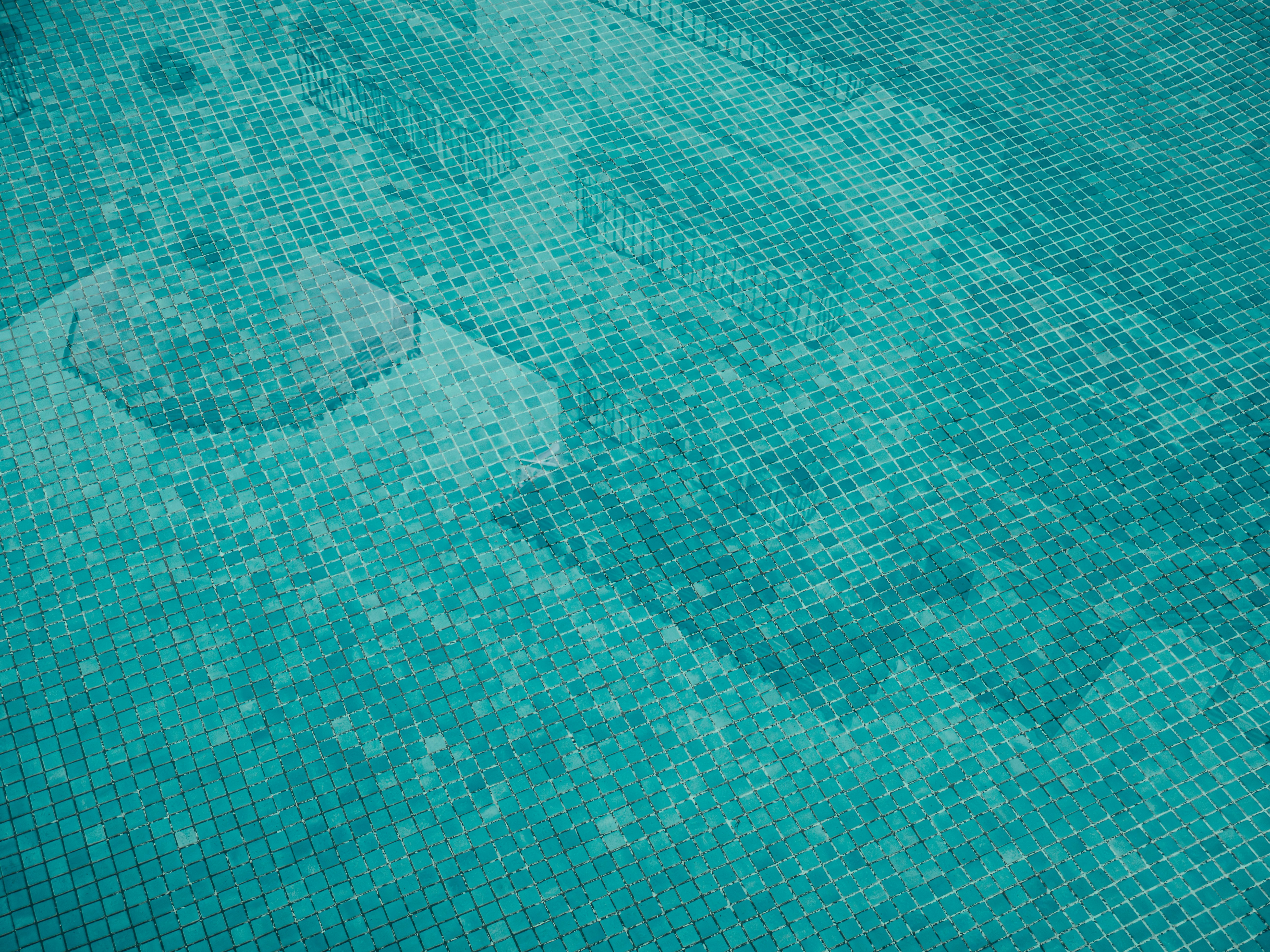 Photo by sschusterphotoart