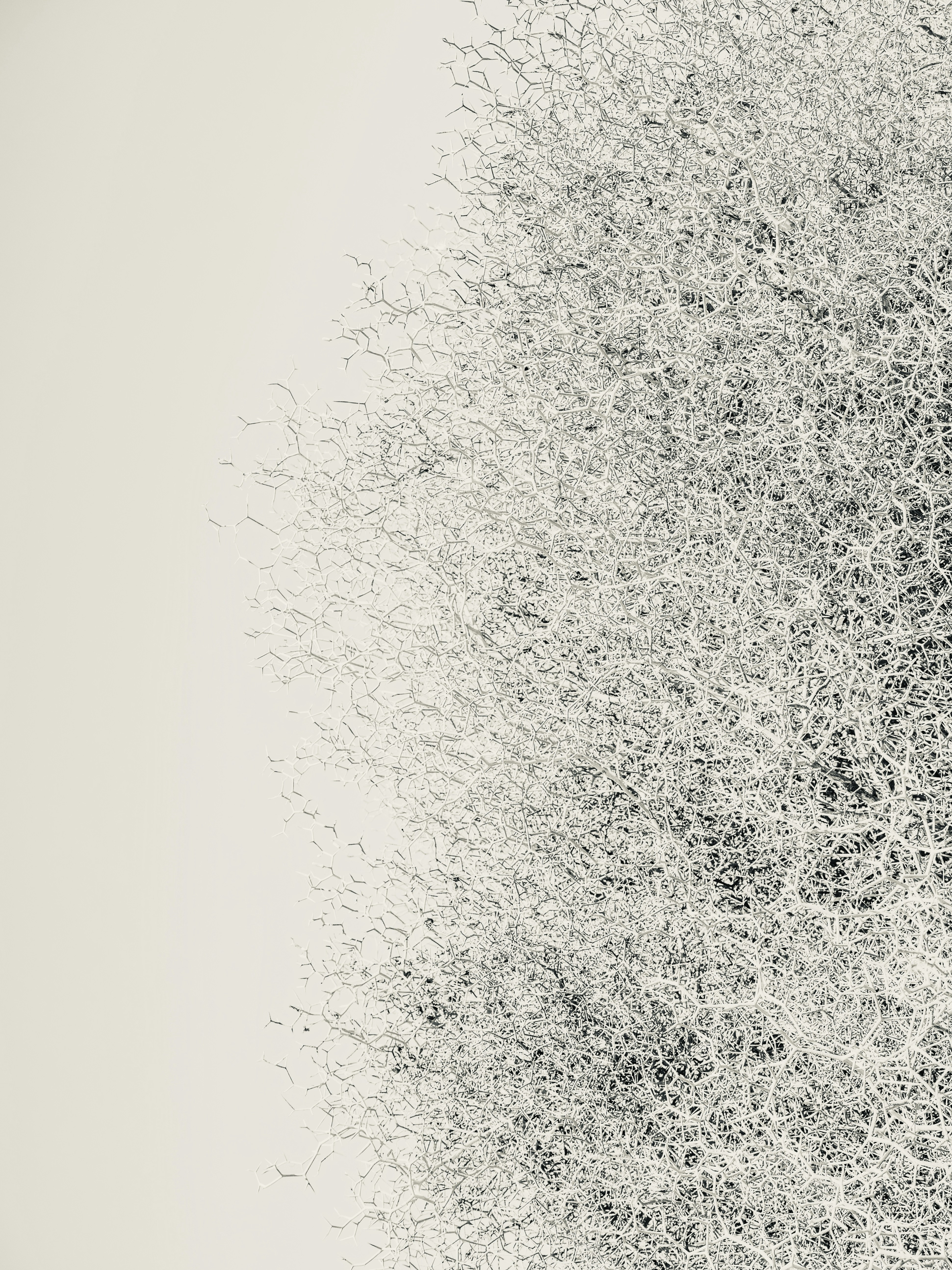 Photo by sschusterphotoart