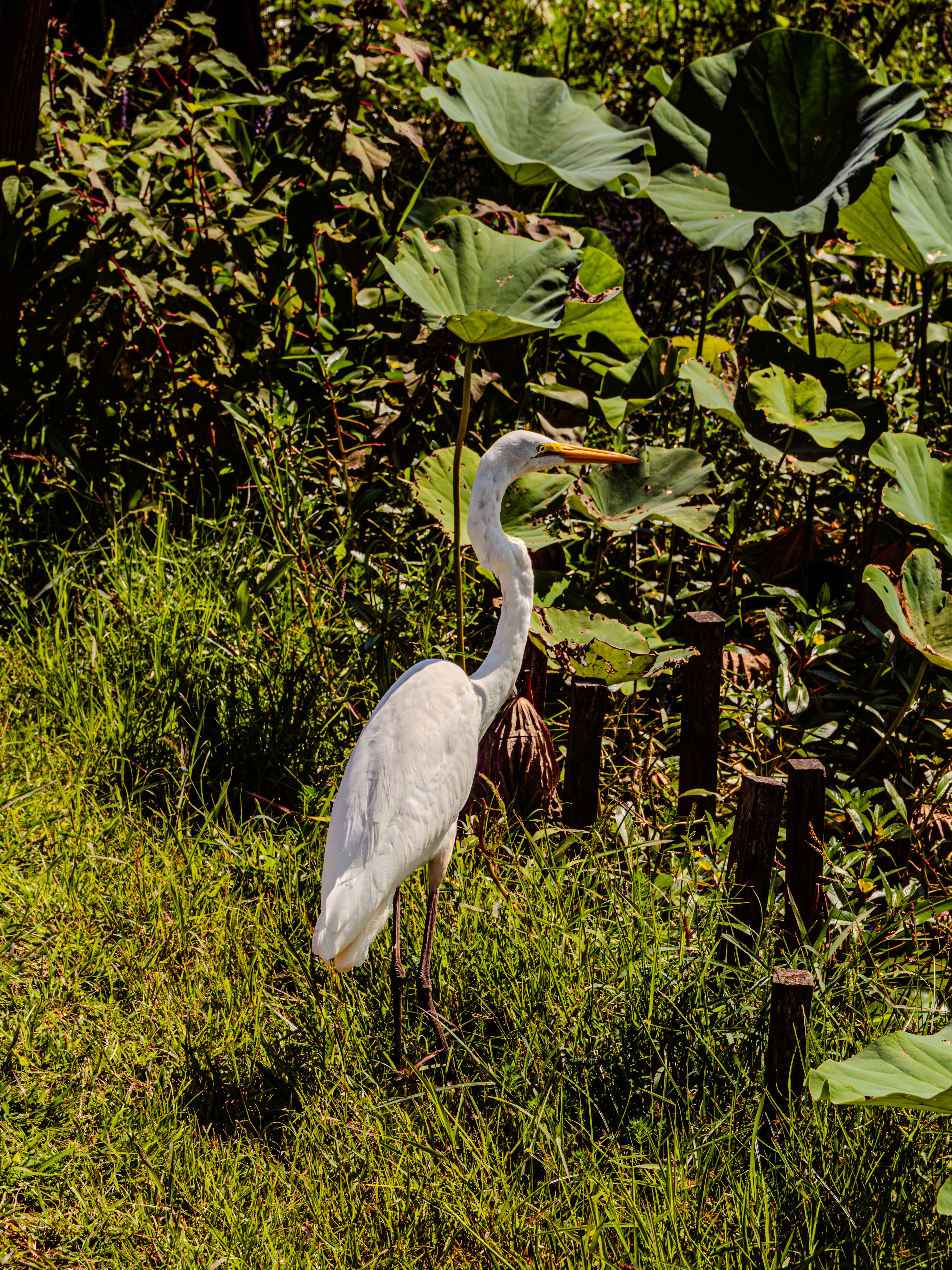 Photo by sschusterphotoart