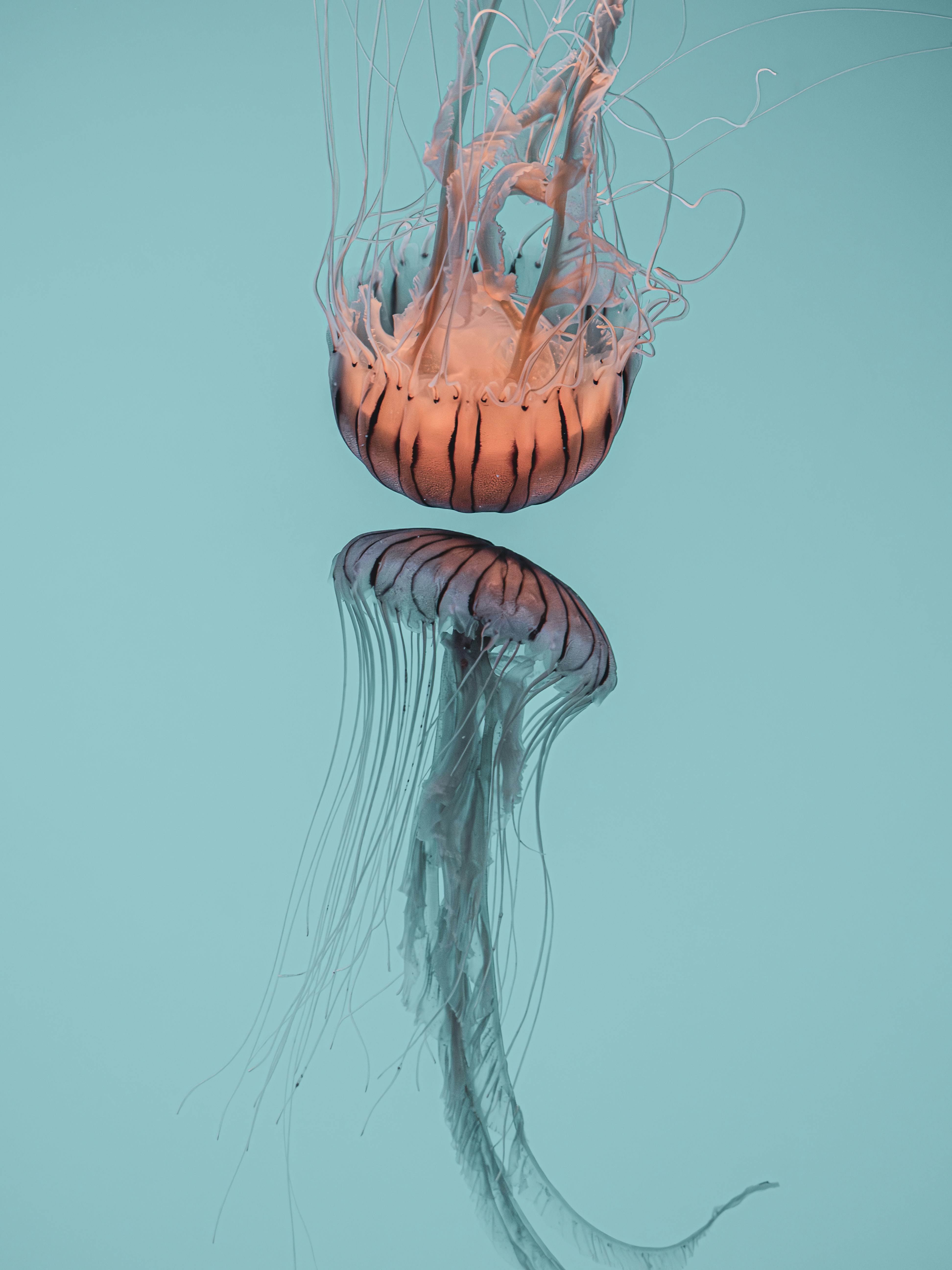 Photo by sschusterphotoart