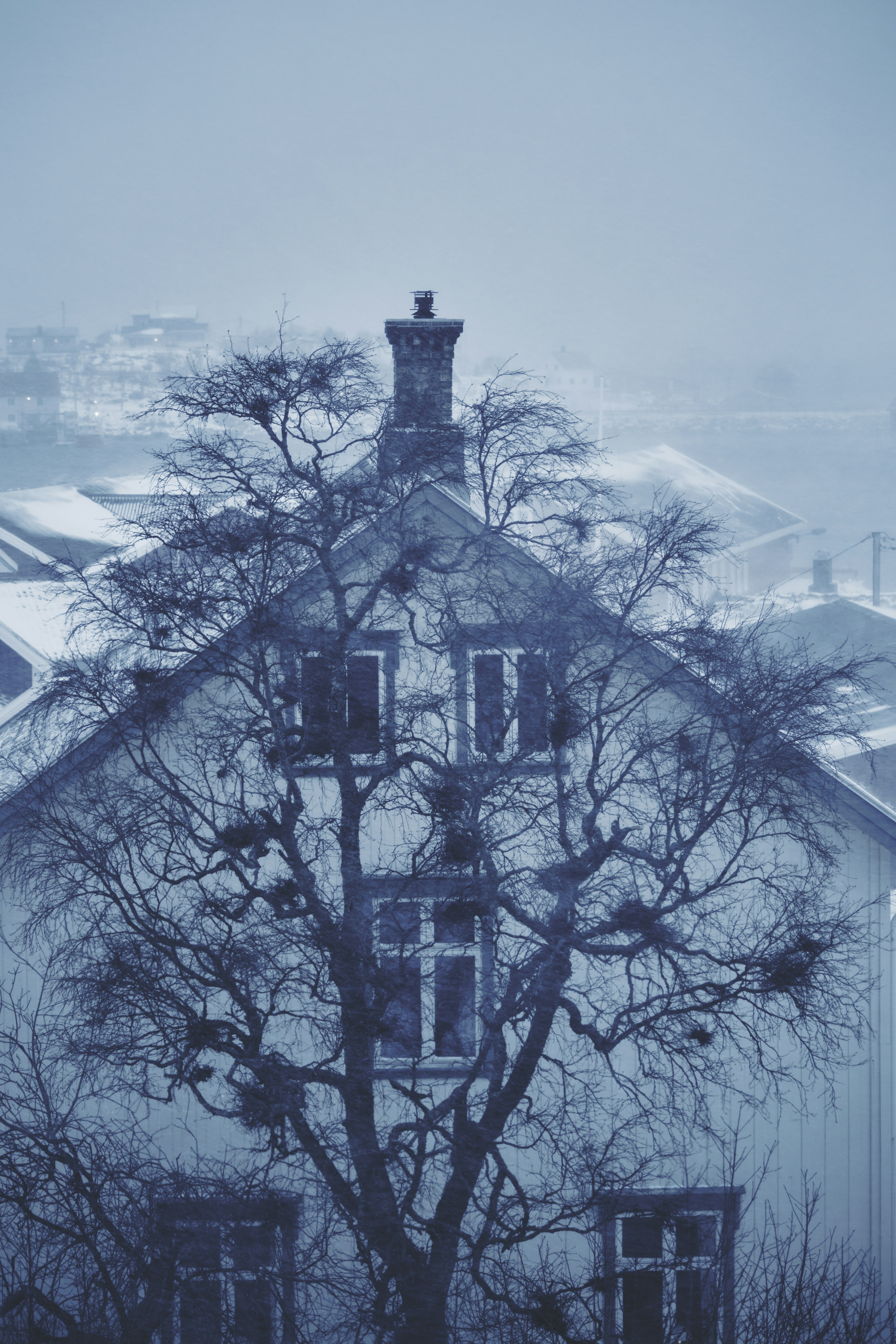 Photo by streit0liver