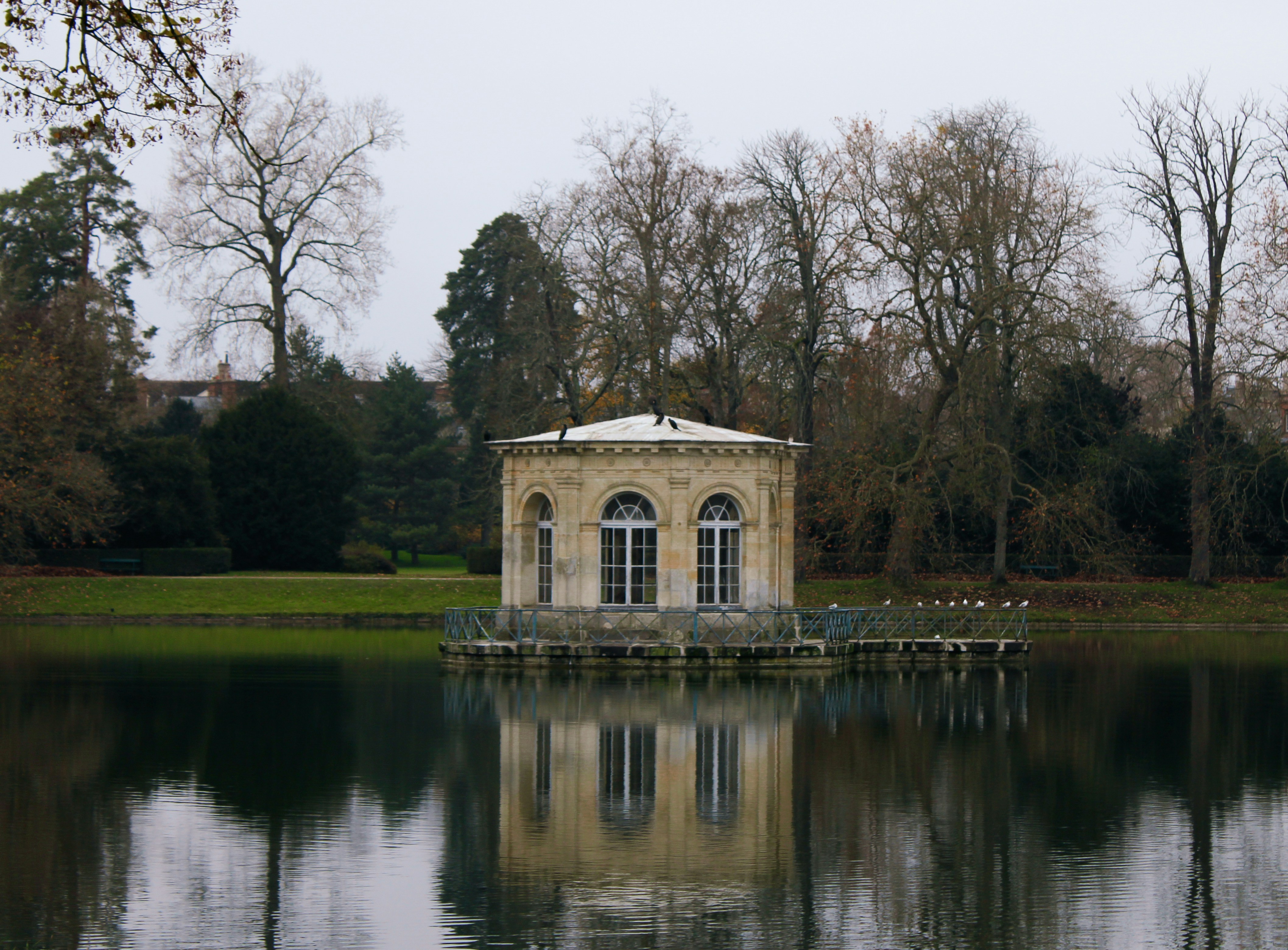 Photo by vane_restrepo