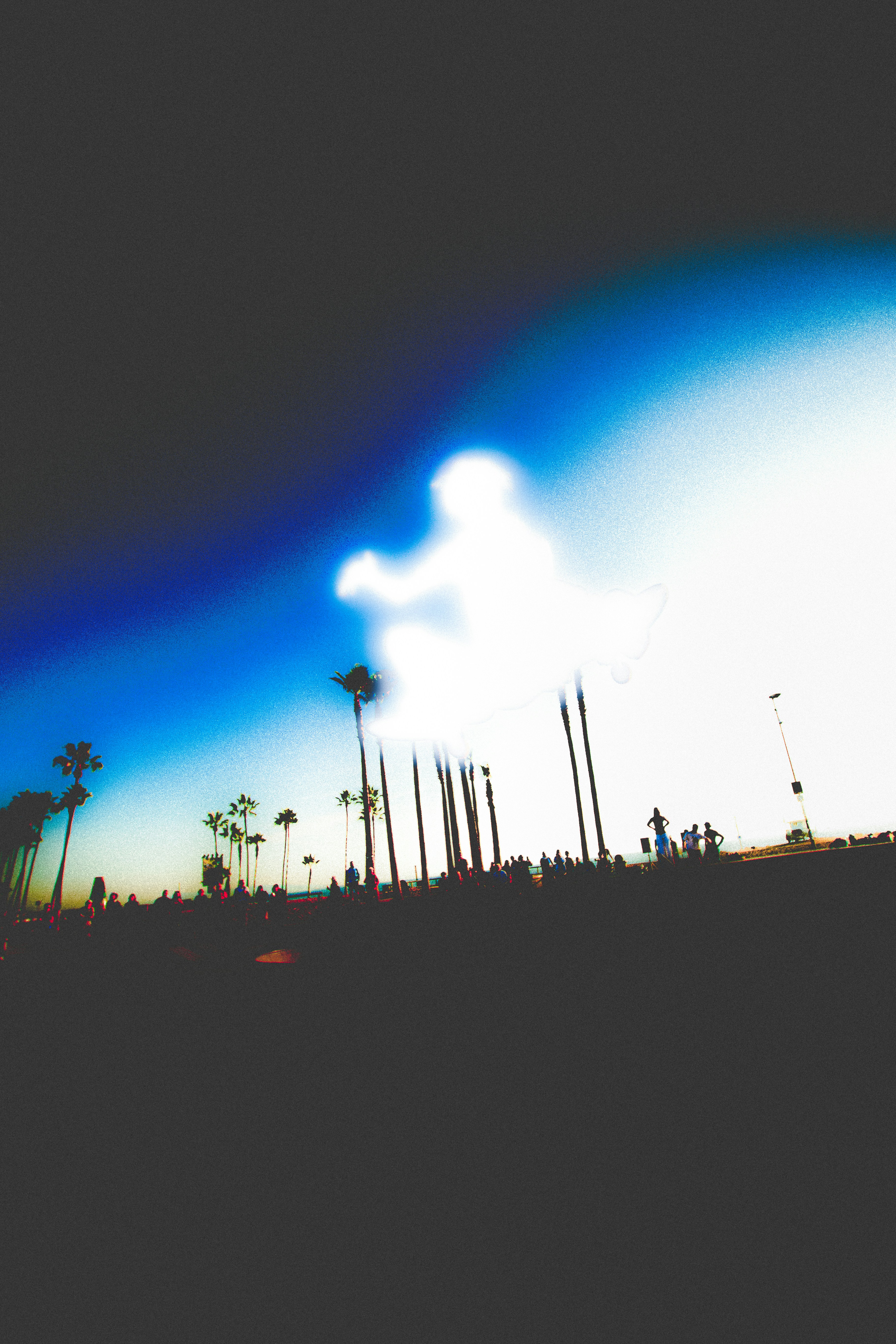 Palm trees silhouetted against a bright sky