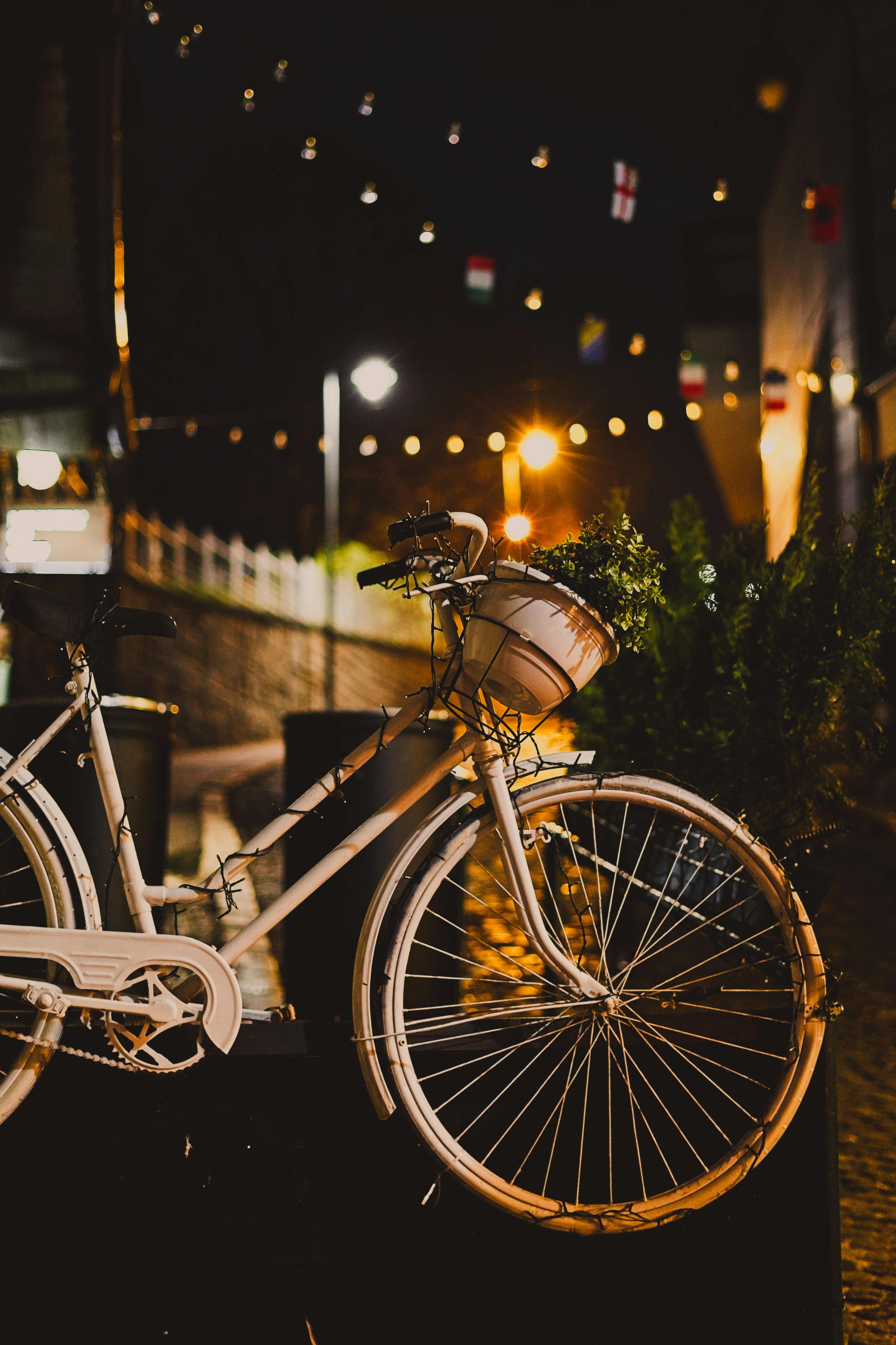 Photo by nedimshoots