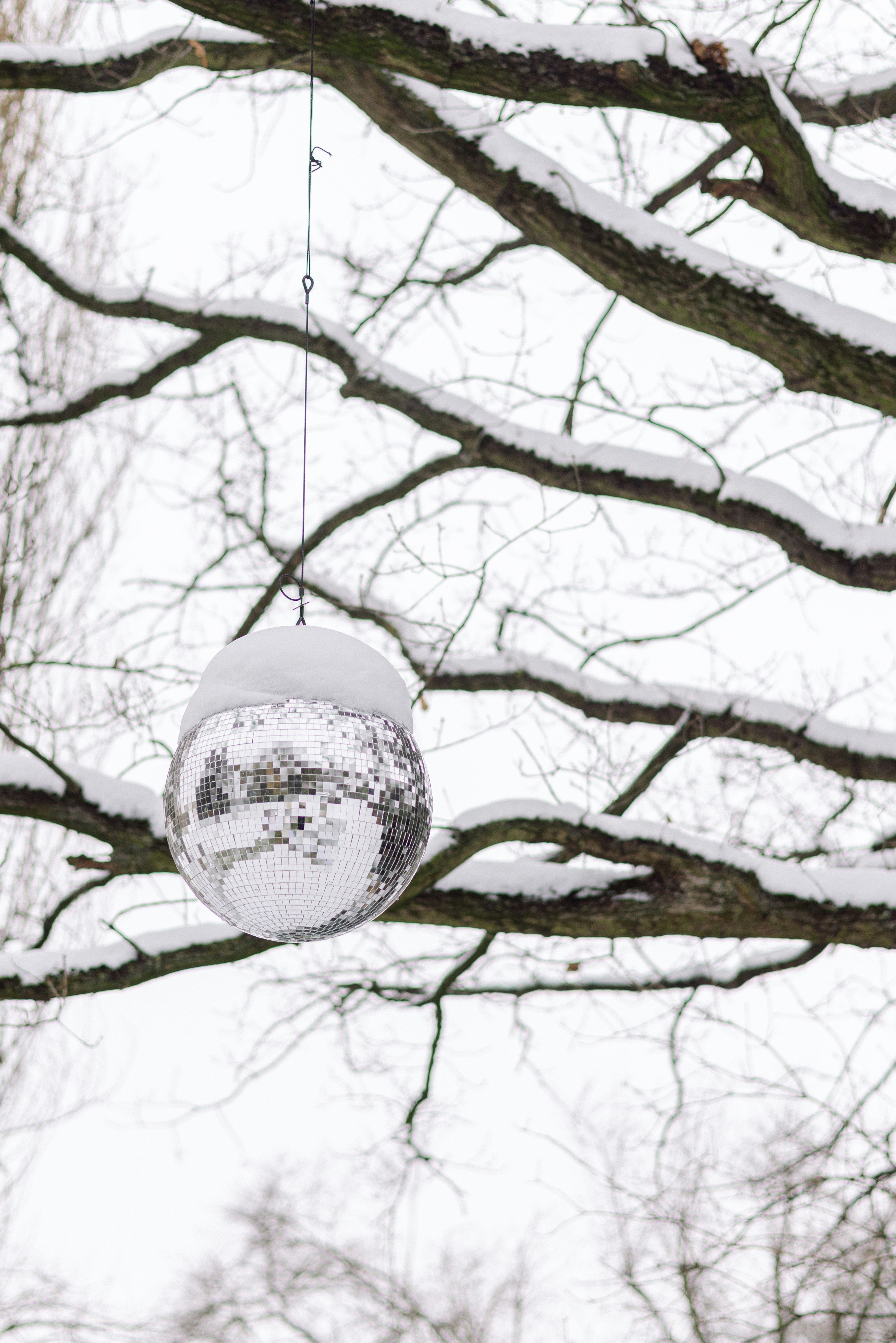 Disco ball covered in snow hanging from tree branches