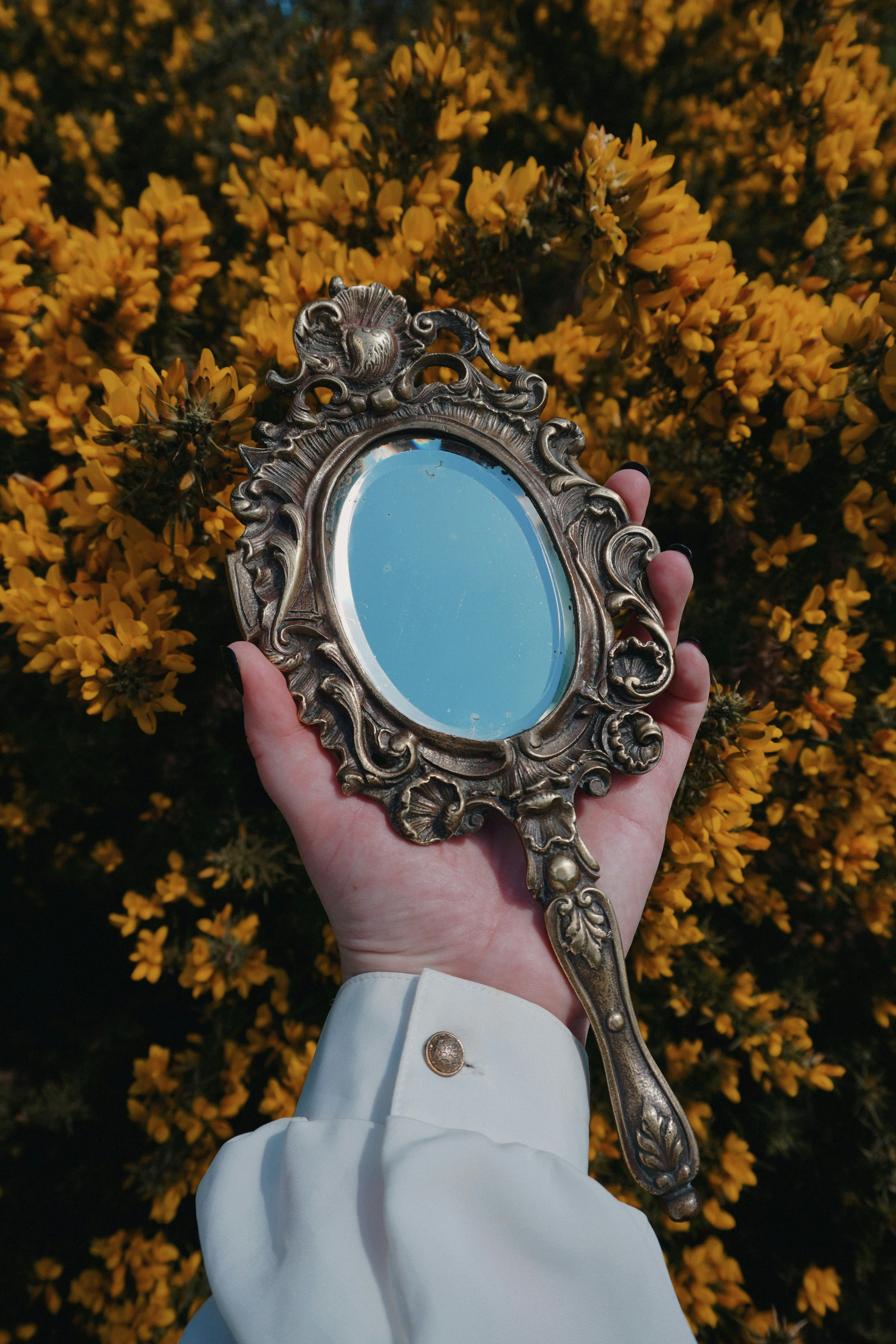 Hand holding an ornate antique mirror with yellow flowers