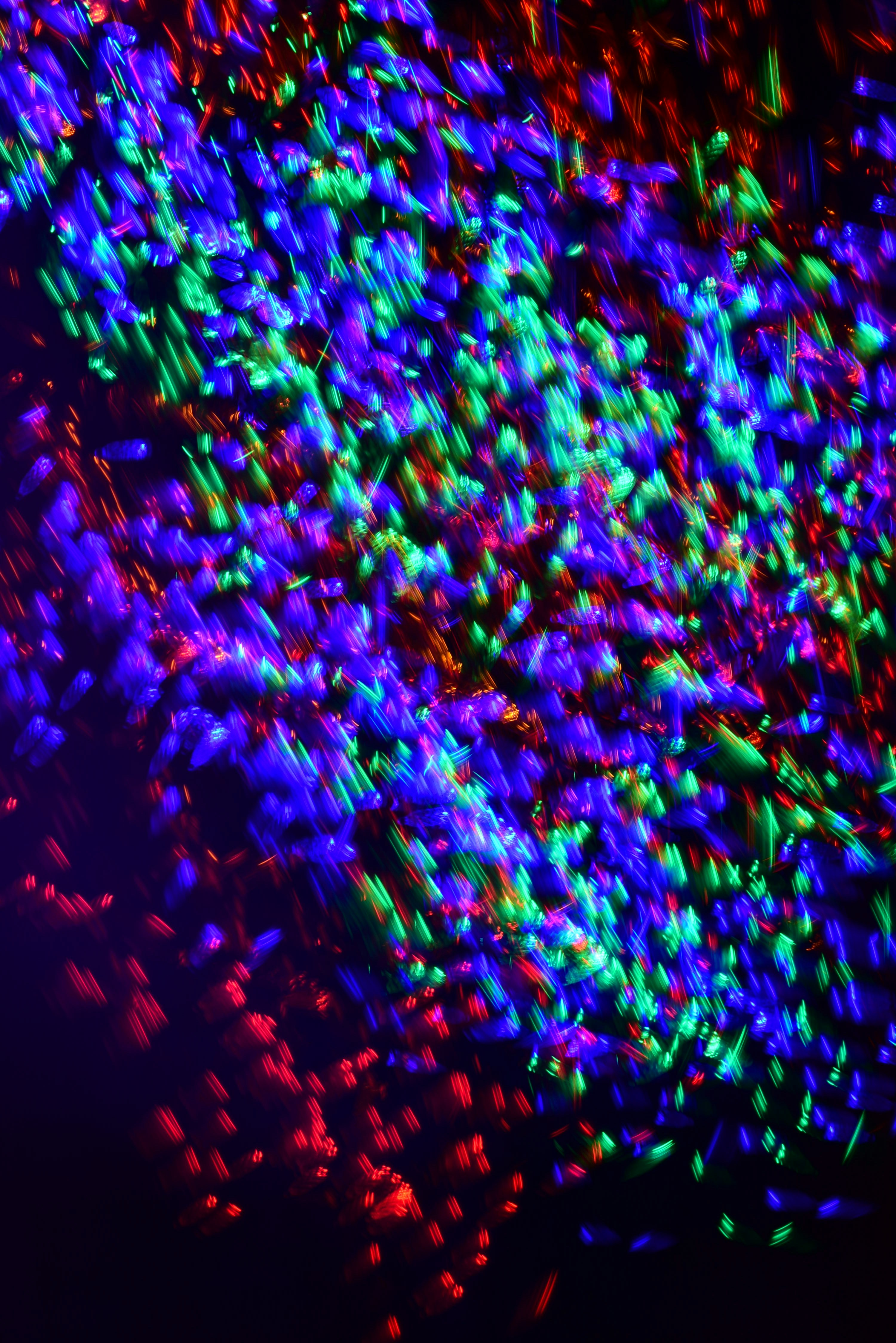 Photo by mariammagsi