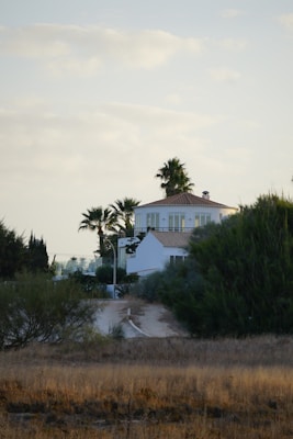Ibicenca blanca