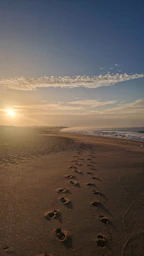 Footprints on a sandy beach at sunrise