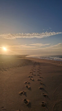 Footprints on a sandy beach at sunrise