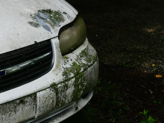 Old white car covered in moss and dirt