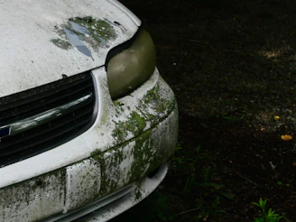 Old white car covered in moss and dirt