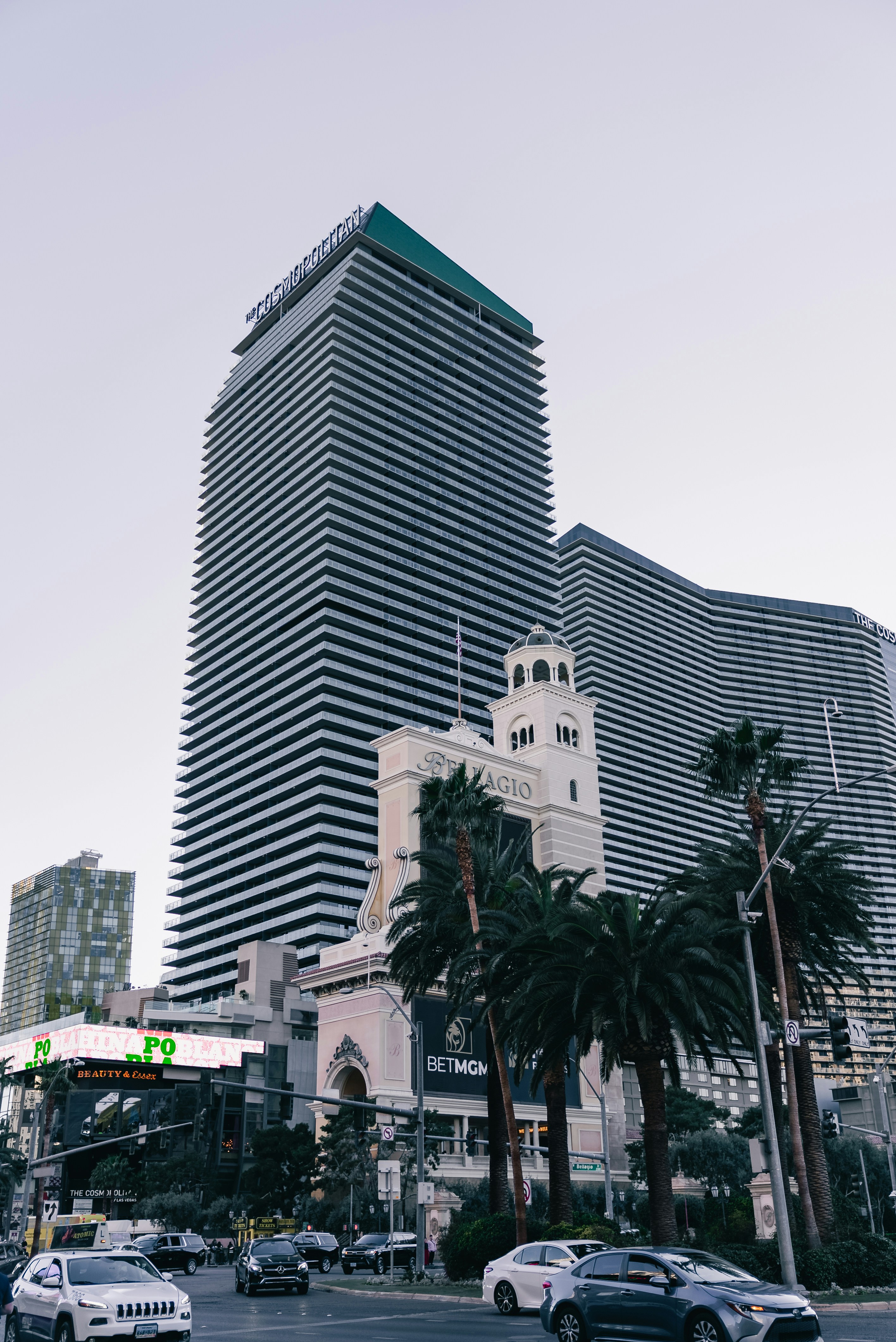 Modern skyscrapers and palm trees on a city street