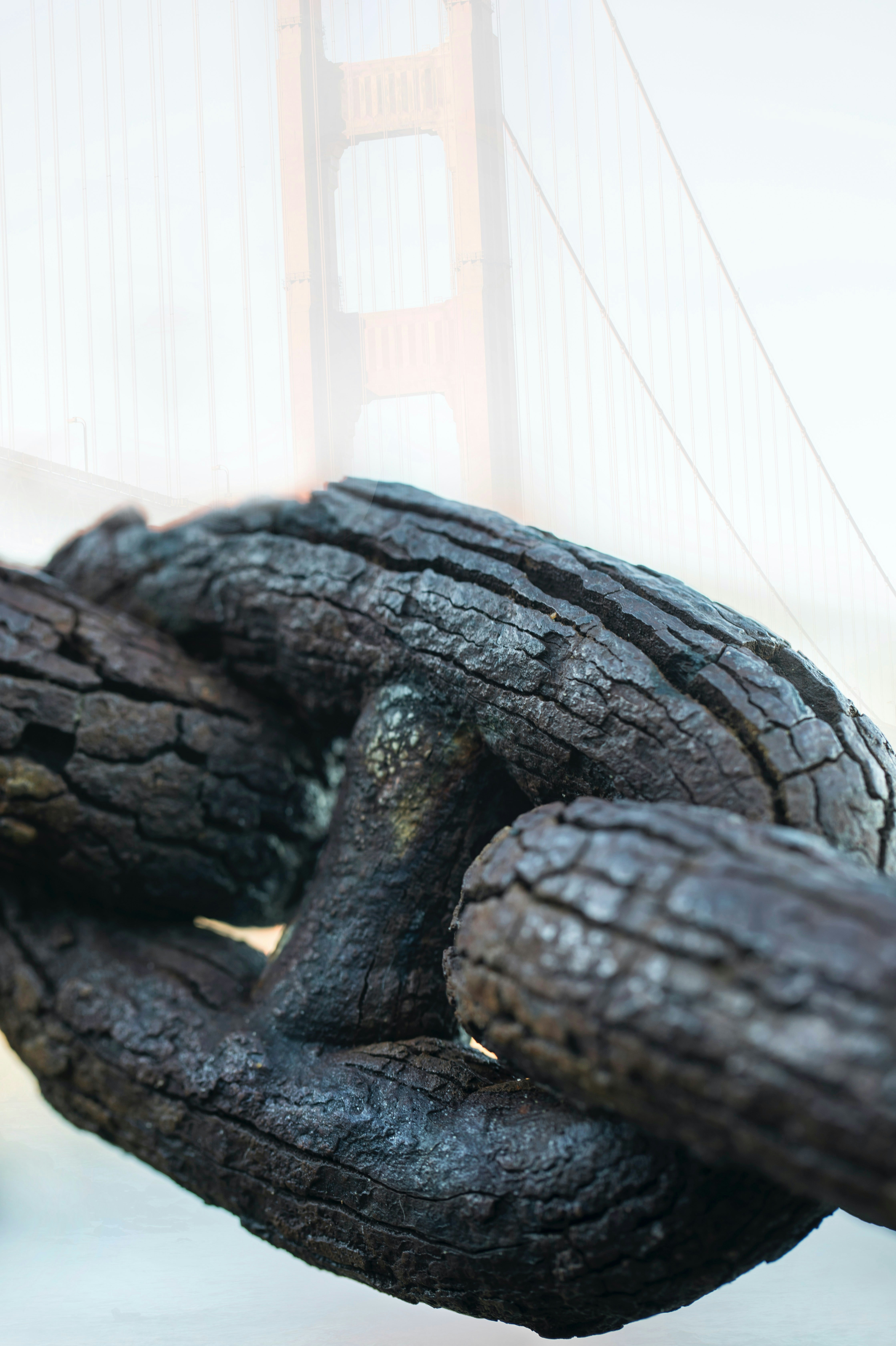 Primo piano di grandi maglie arrugginite con ponte sullo sfondo