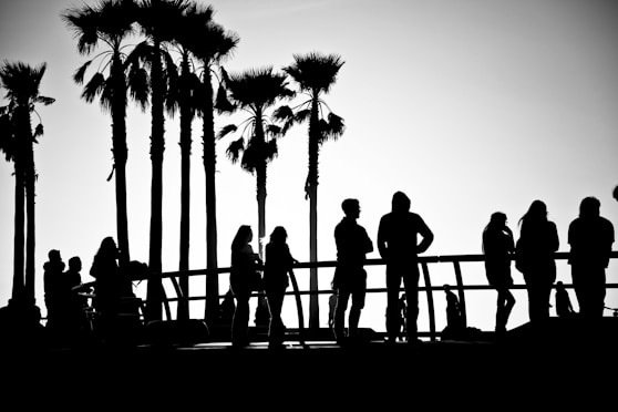 Silhouetted people stand near palm trees by the ocean.