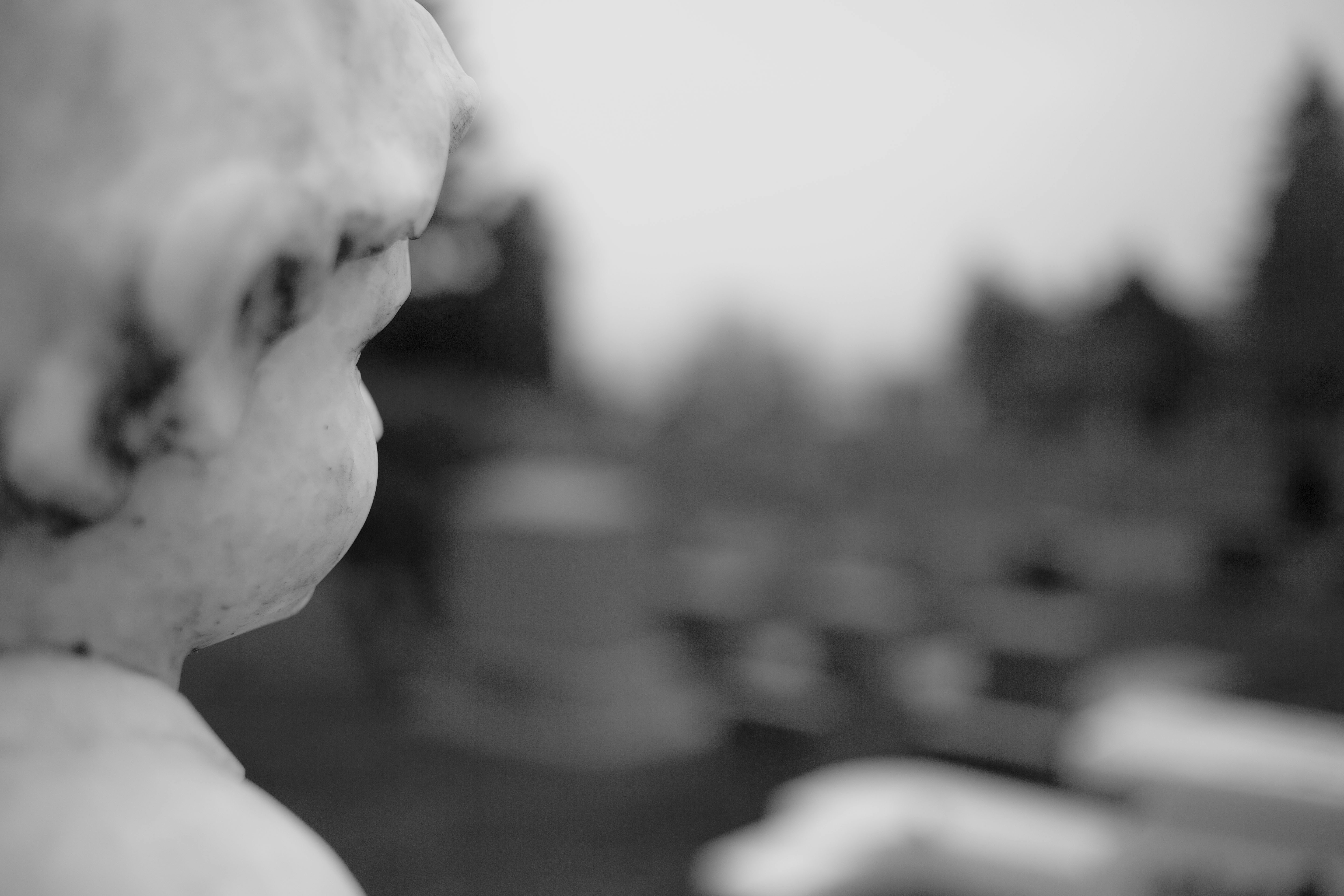 親愛的陌生人 - 你需要的不見得都被給予
但對方需要時你總是存在

擺一面鏡子
期盼著能看見其中的映像