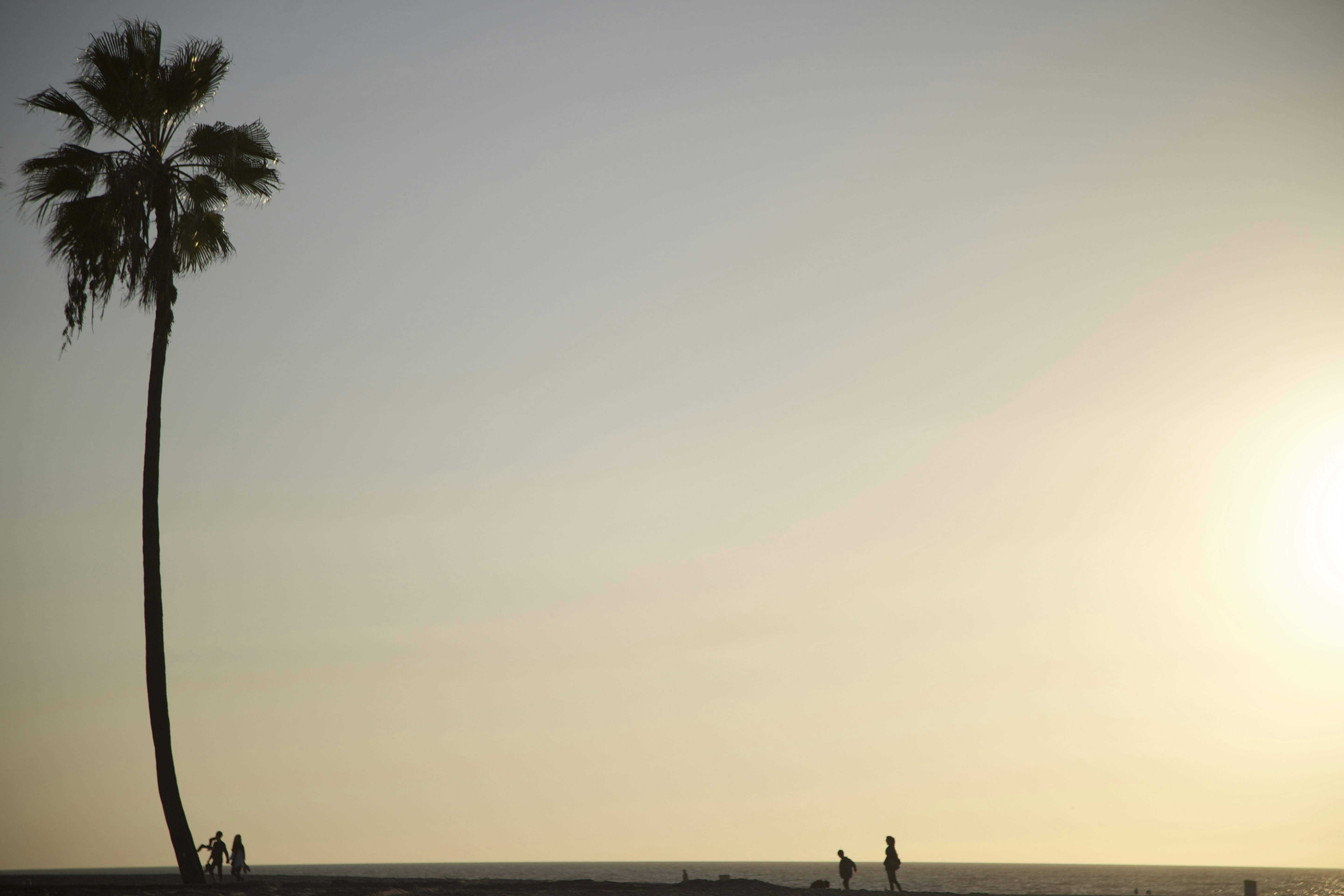 Photo by leo_visions_