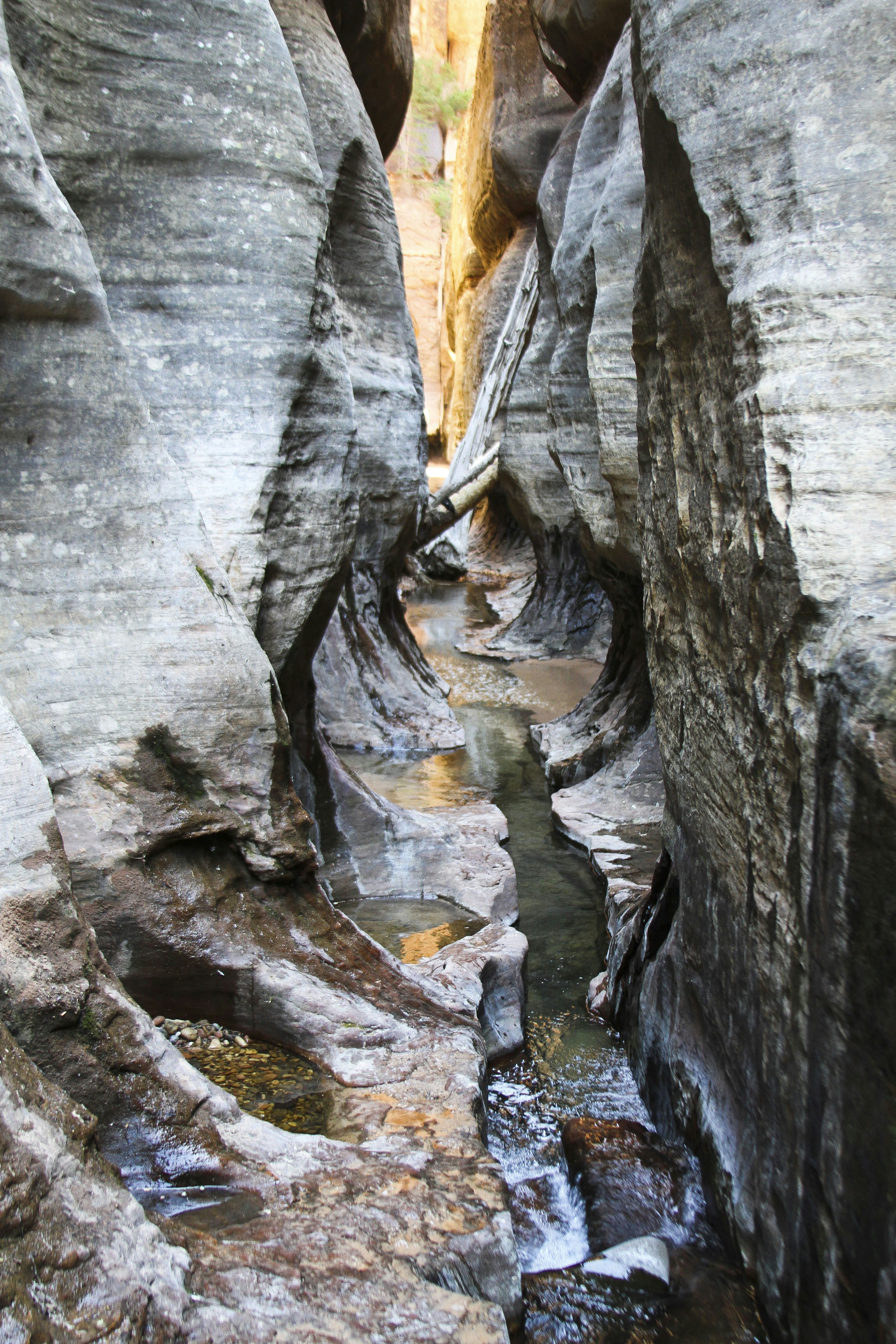 Photo by leo_visions_