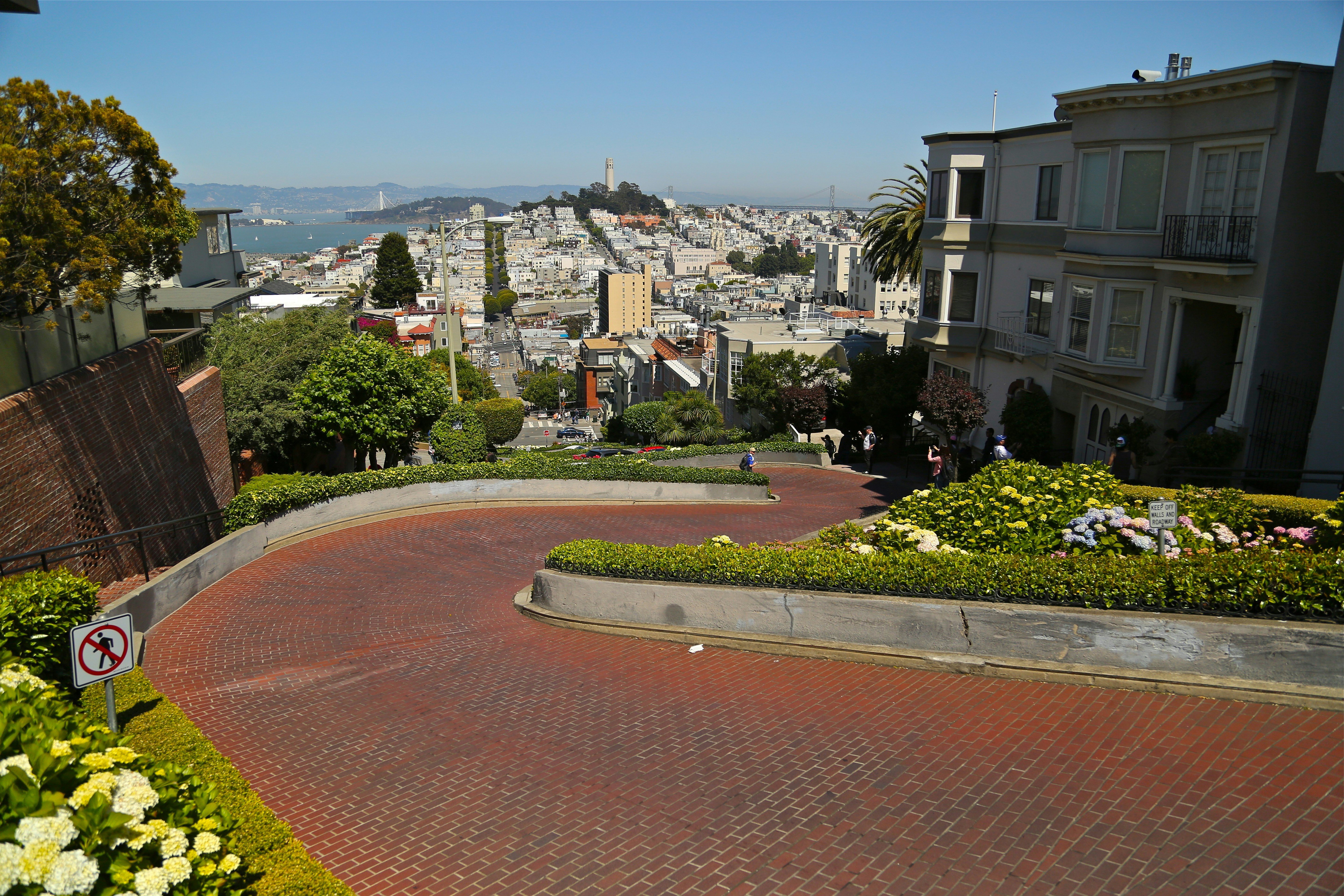 San francisco cityscape with a winding red brick street.