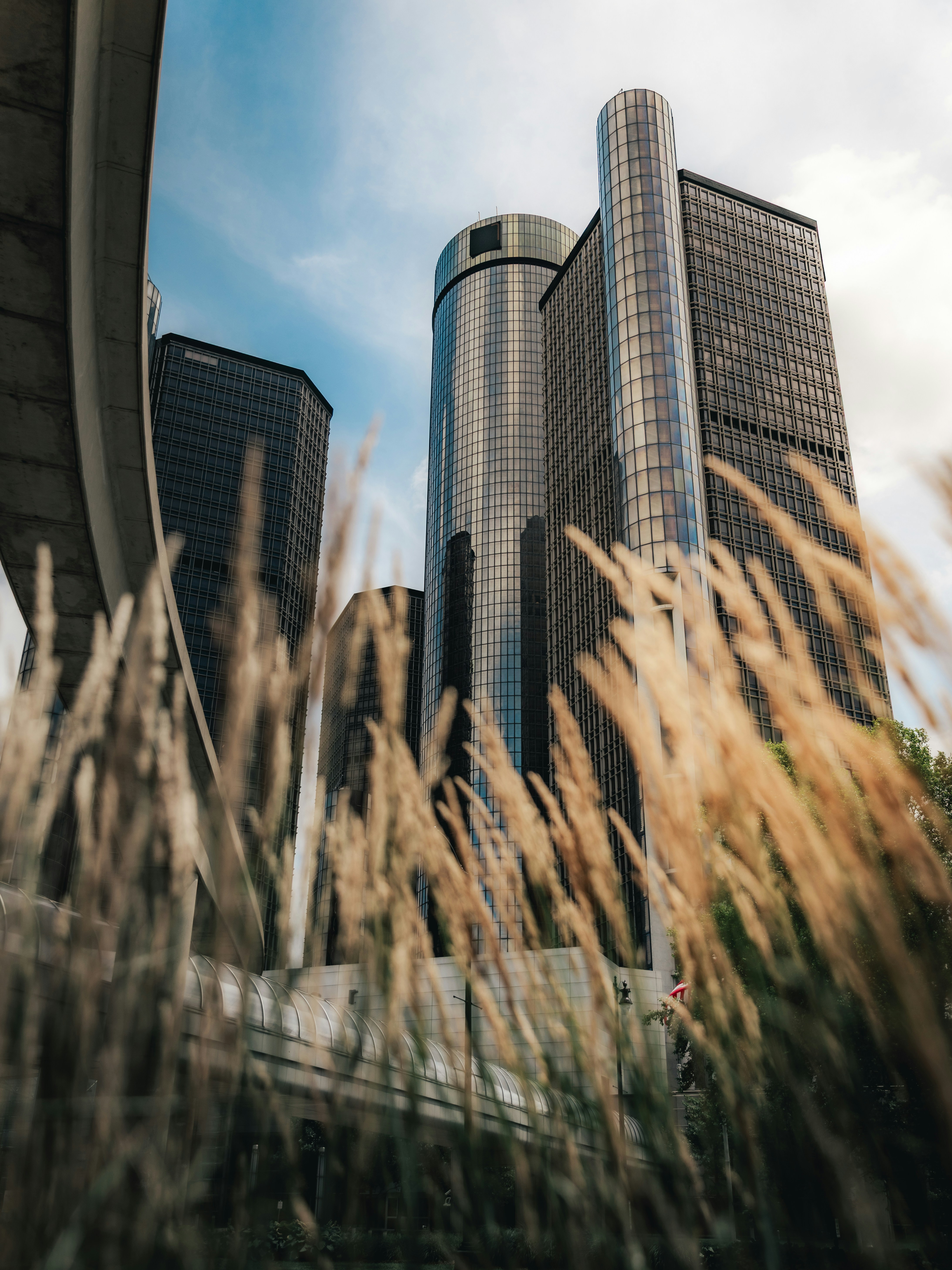 Des gratte-ciel modernes s’élèvent derrière de hautes herbes sèches.