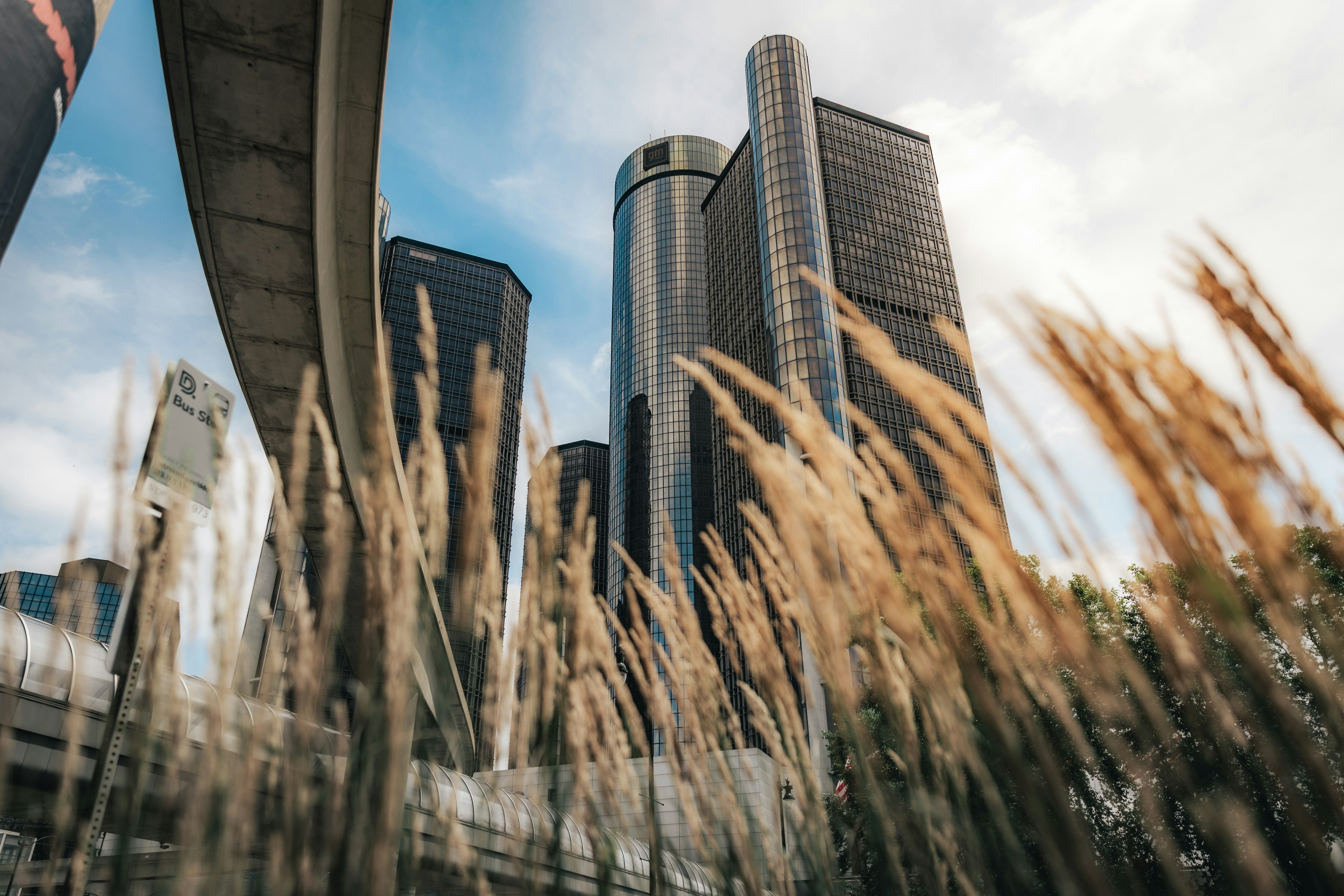 De hauts bâtiments modernes visibles à travers l’herbe sèche