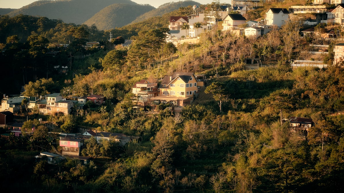 Houses nestled on a lush sun-drenched hillside