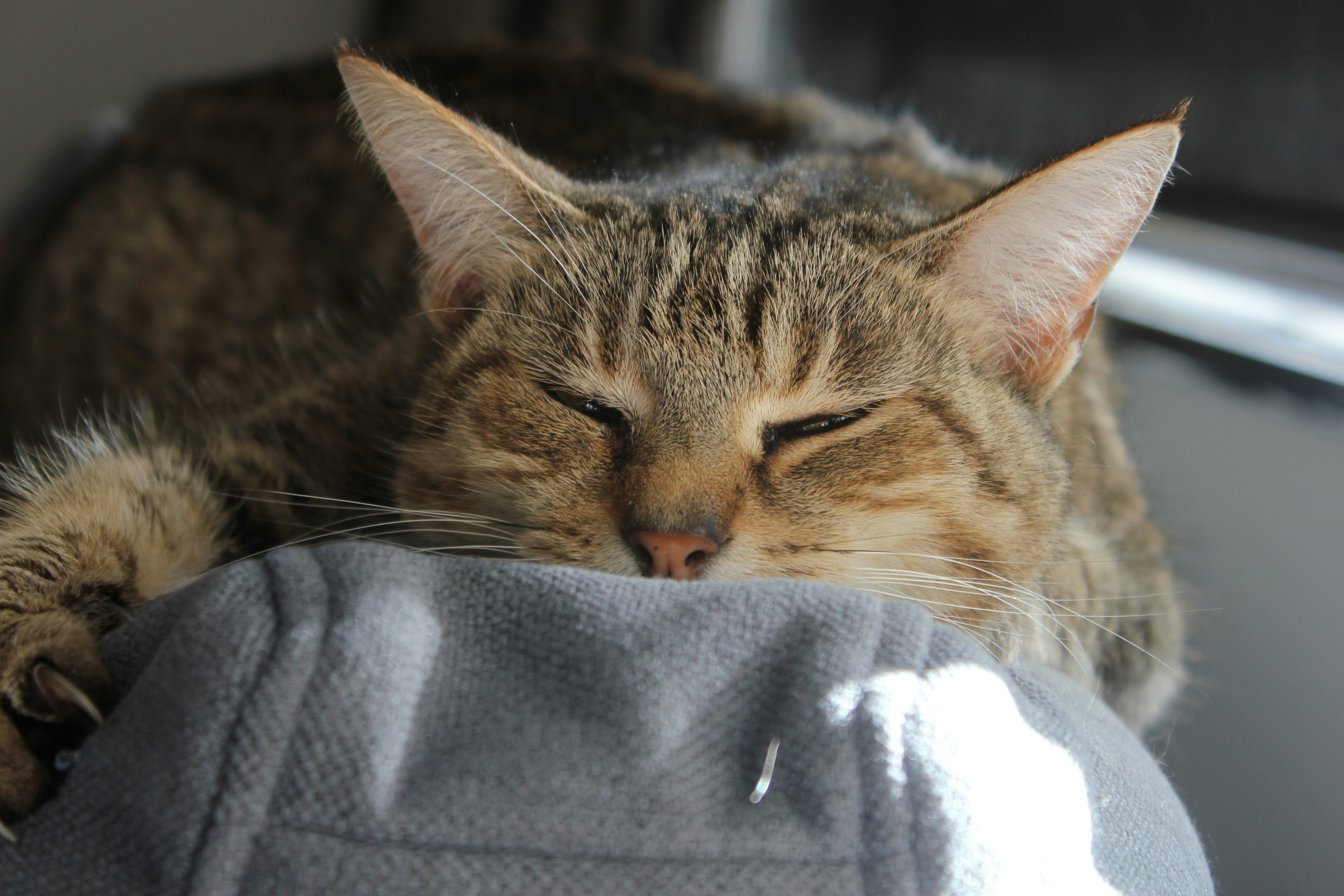 Photo by adele_stack