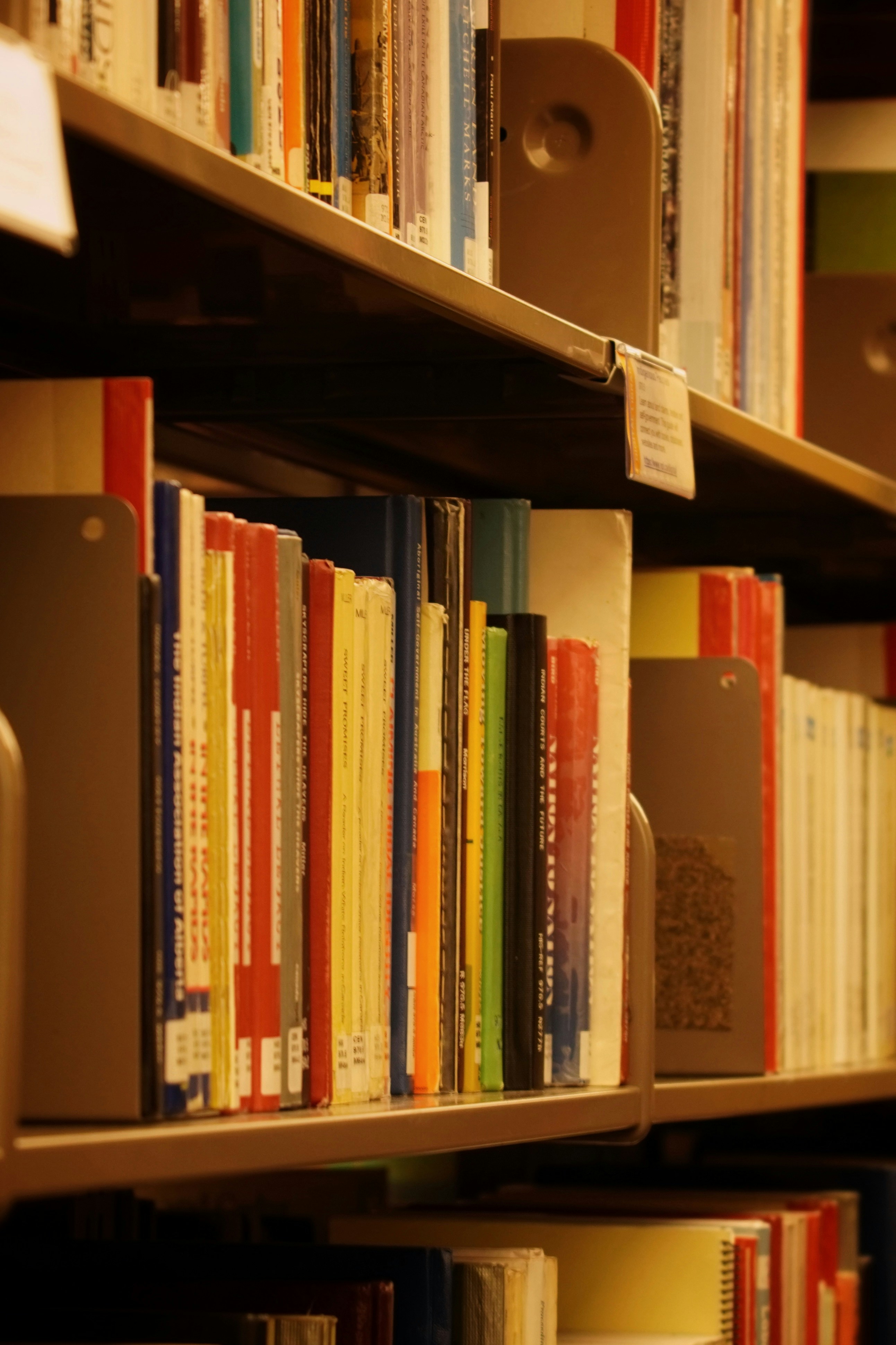 Books lined up on library shelves
