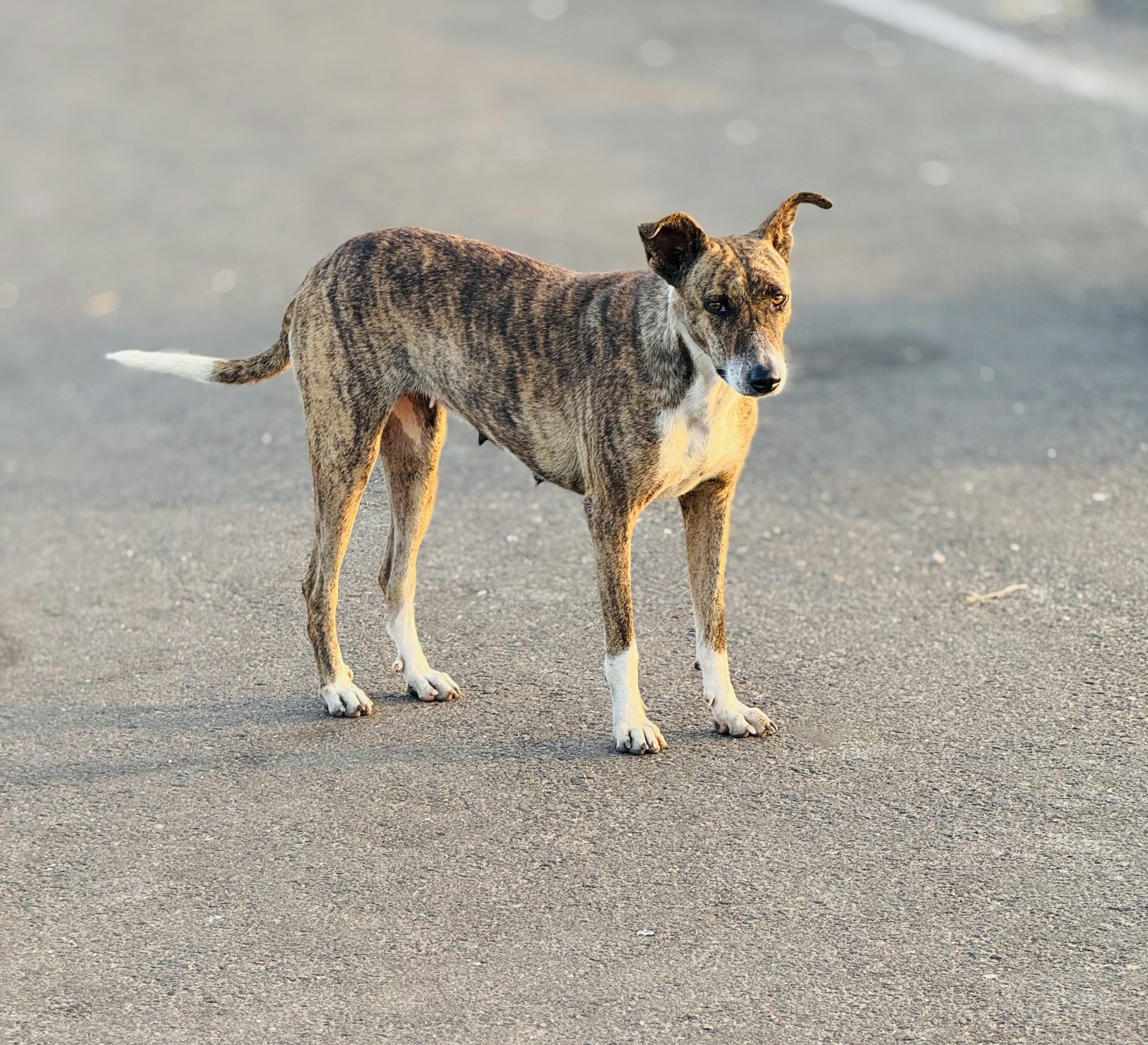 Photo by riyaskauson