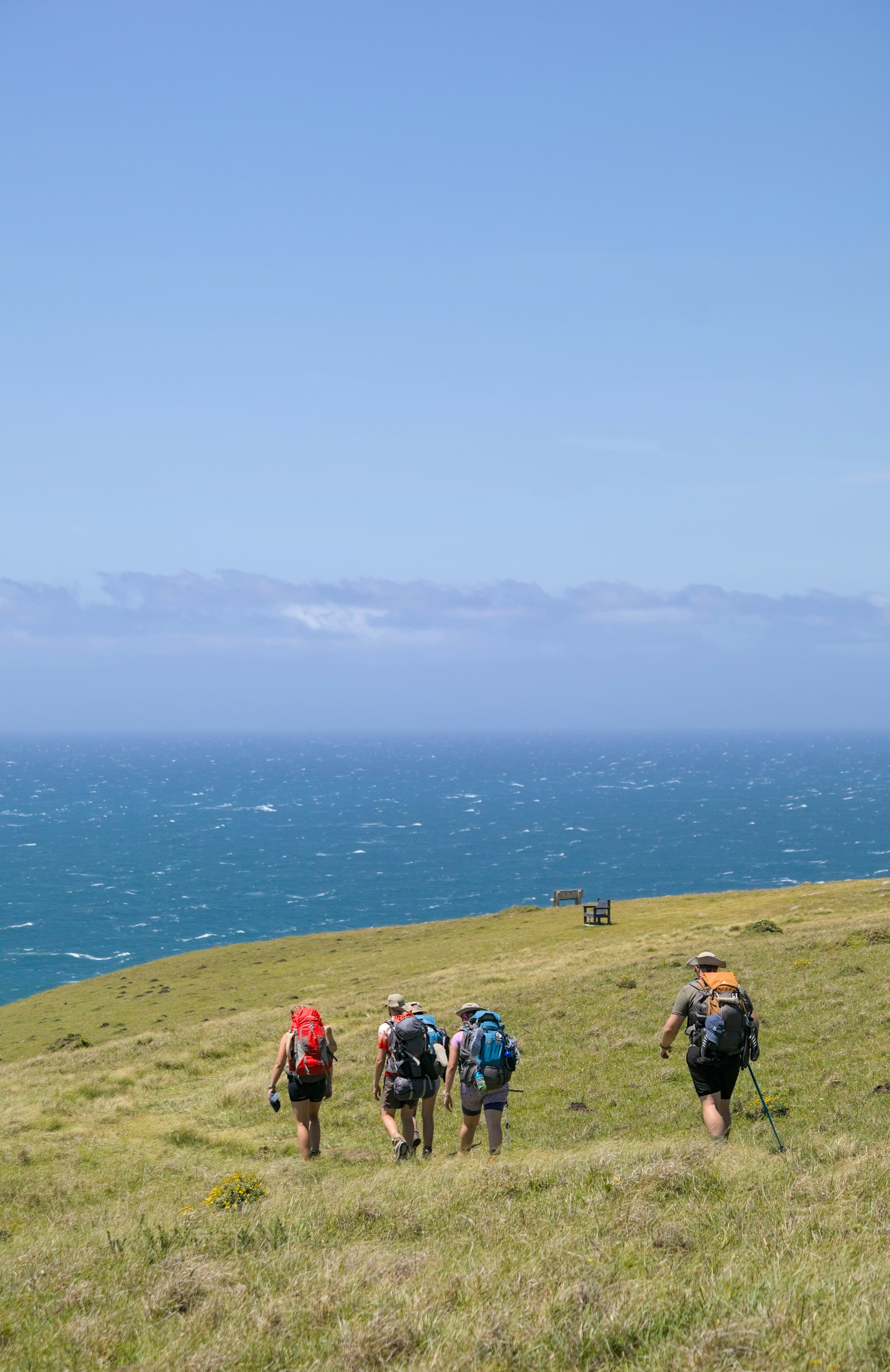 Four hikers with backpacks walk across a grassy hill.
