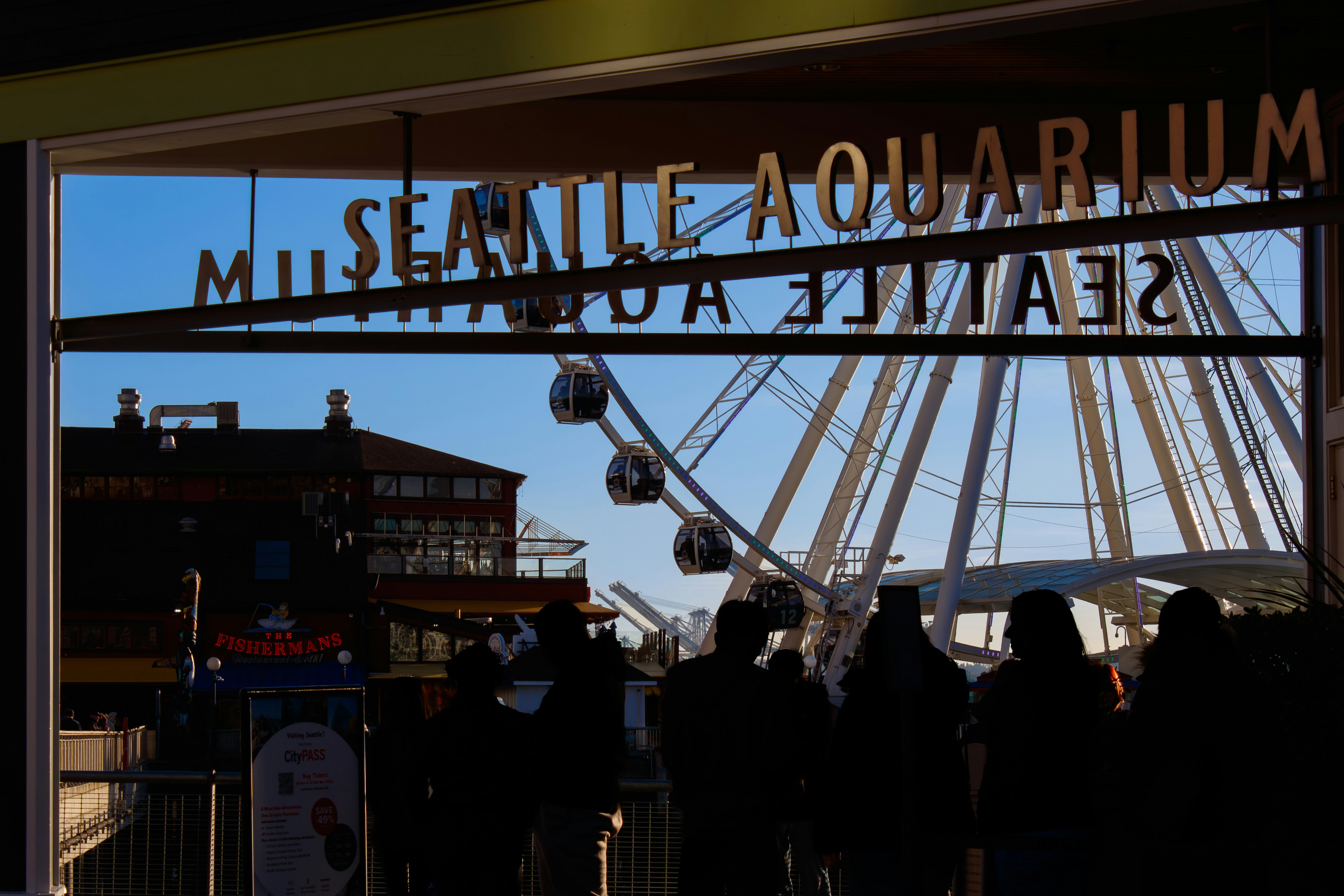 Seattle aquarium entrance with ferris wheel reflection