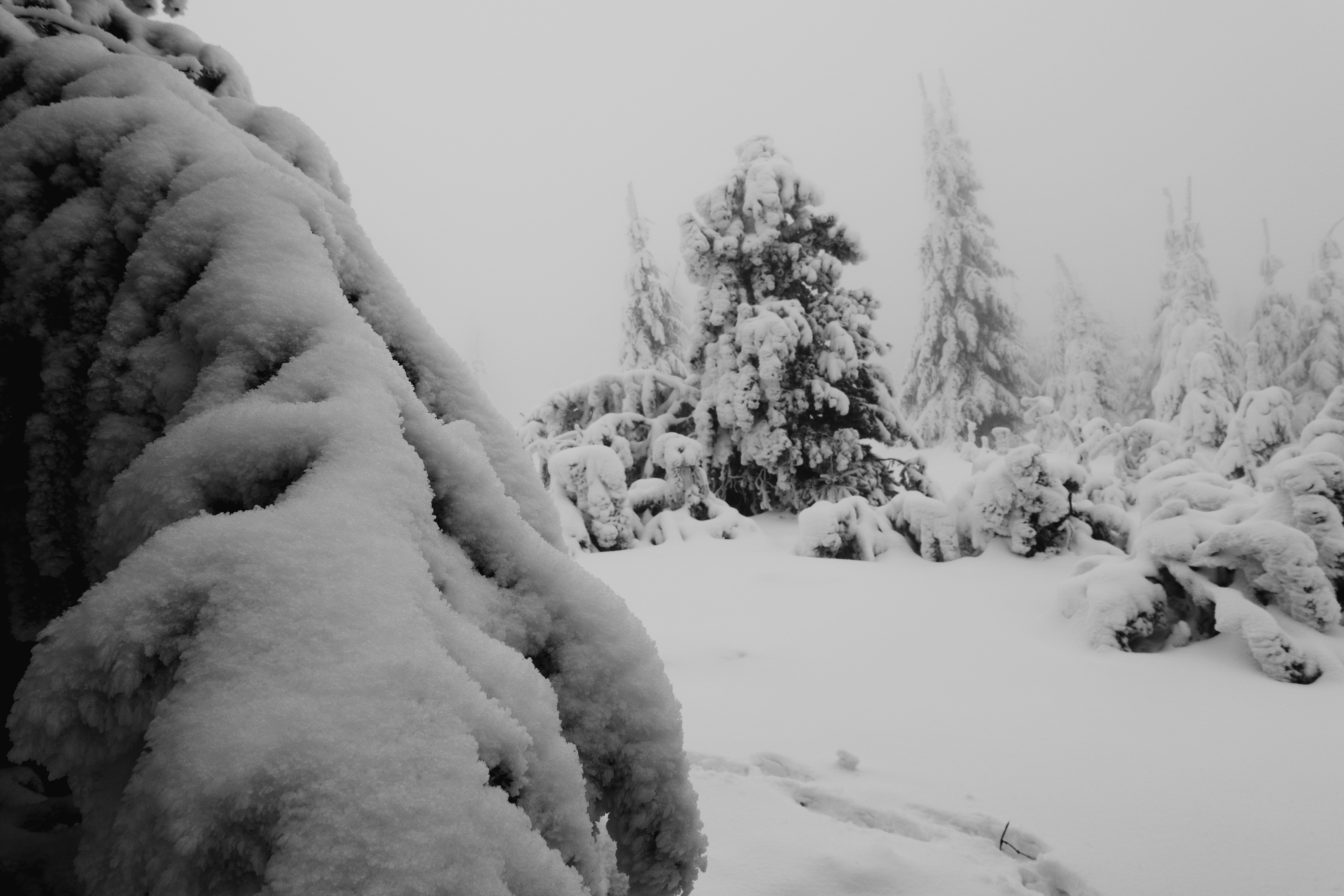 Photo by sveneisenschmidt