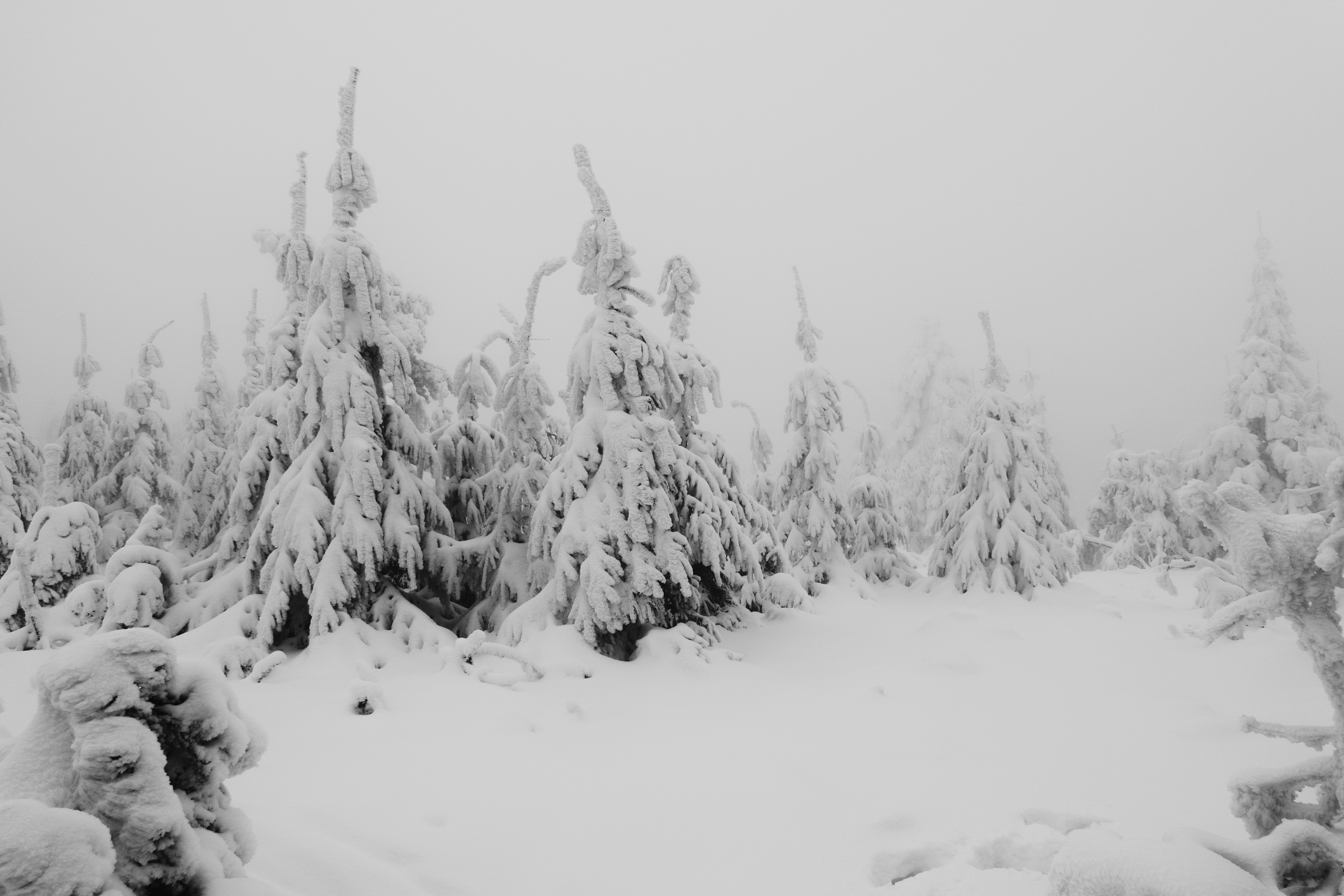 Photo by sveneisenschmidt