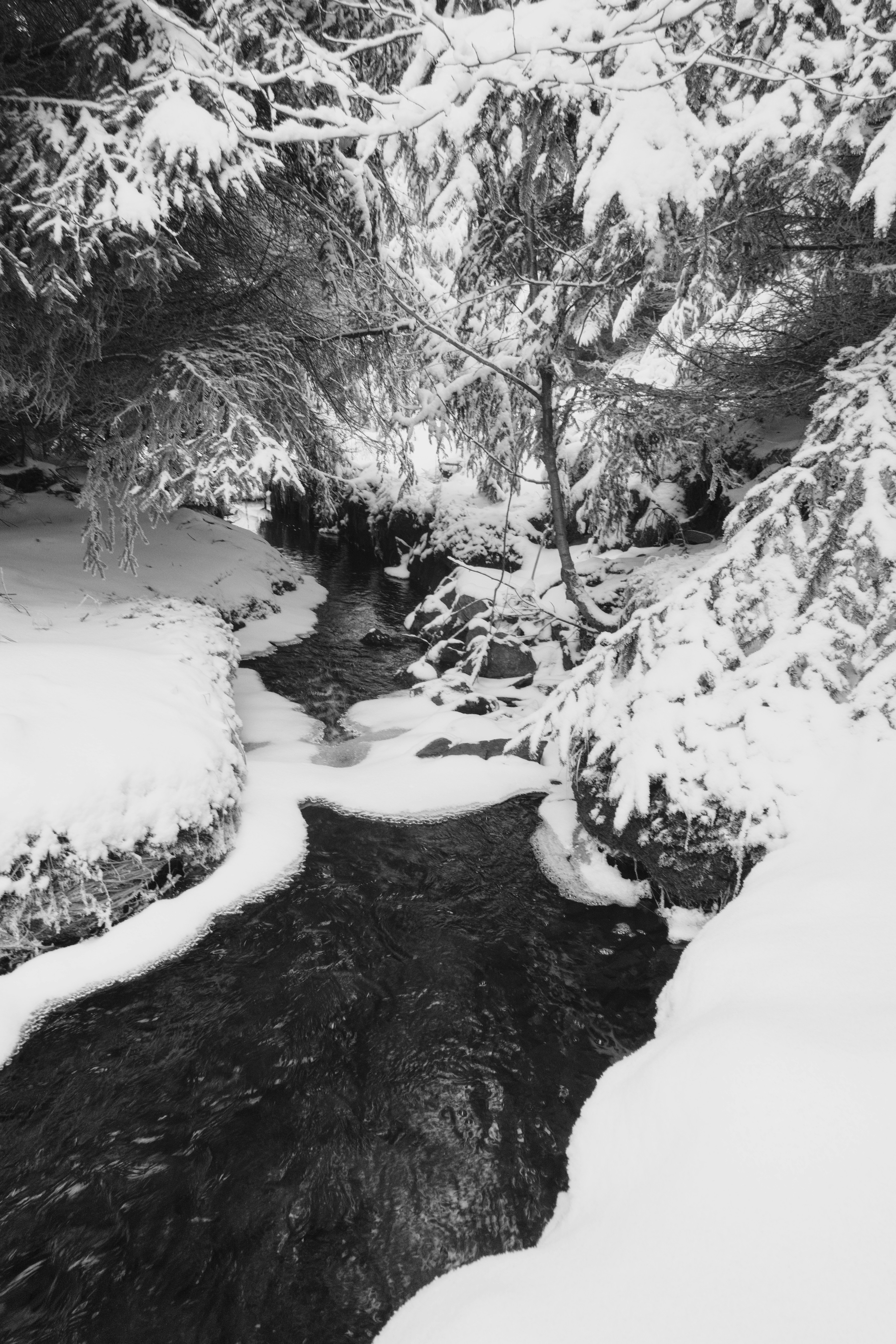 Photo by sveneisenschmidt