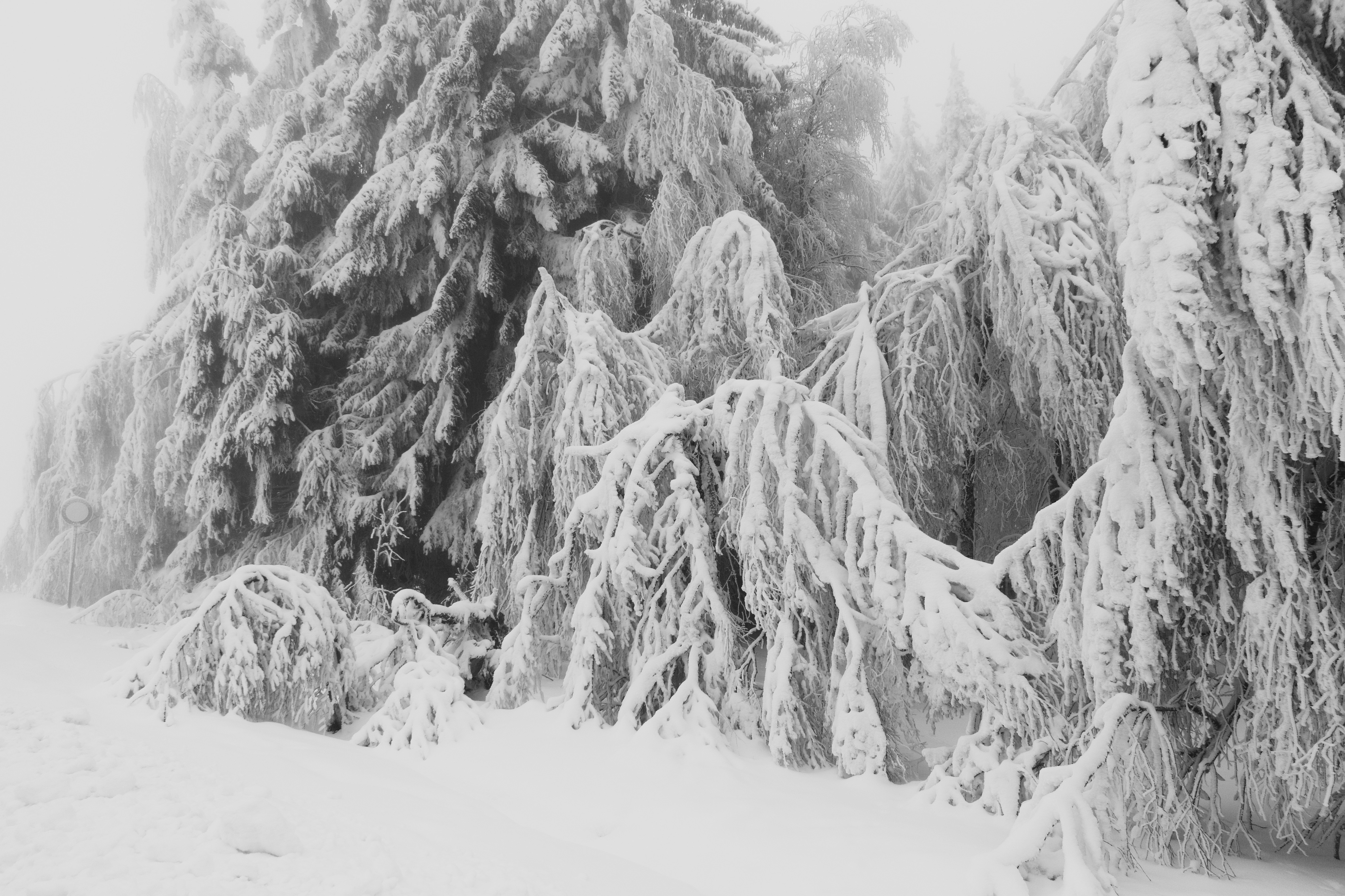 Photo by sveneisenschmidt