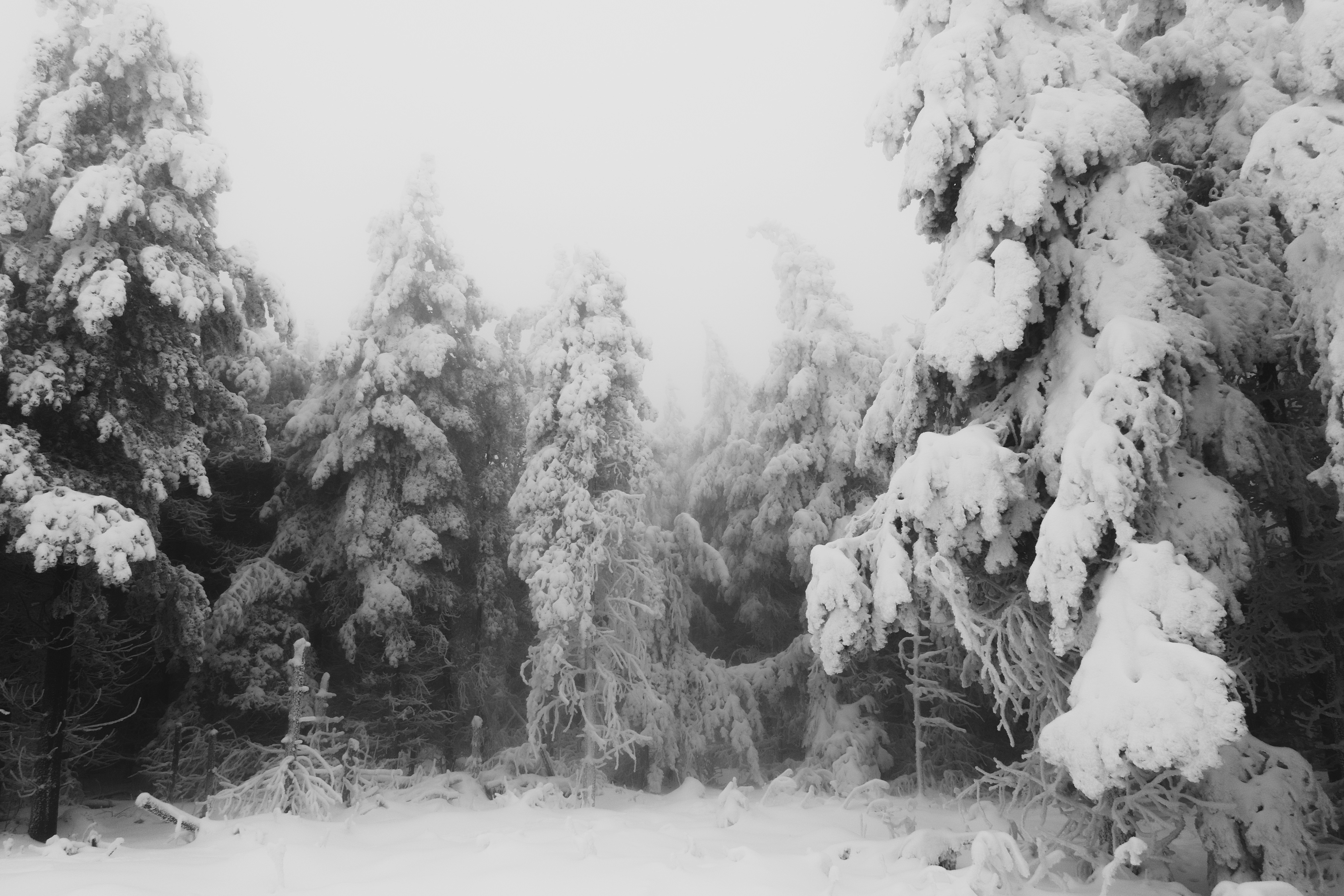 Photo by sveneisenschmidt