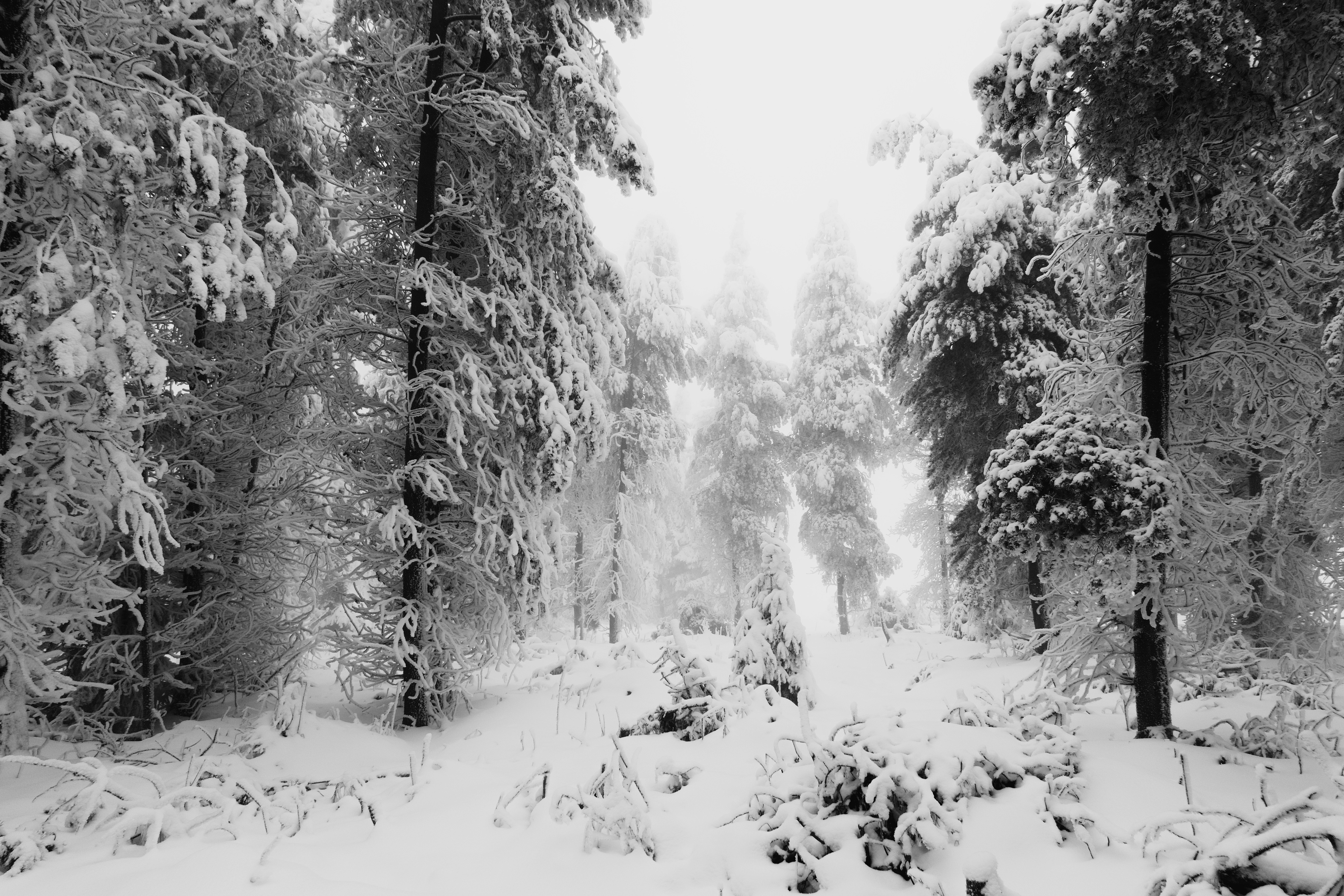 Photo by sveneisenschmidt