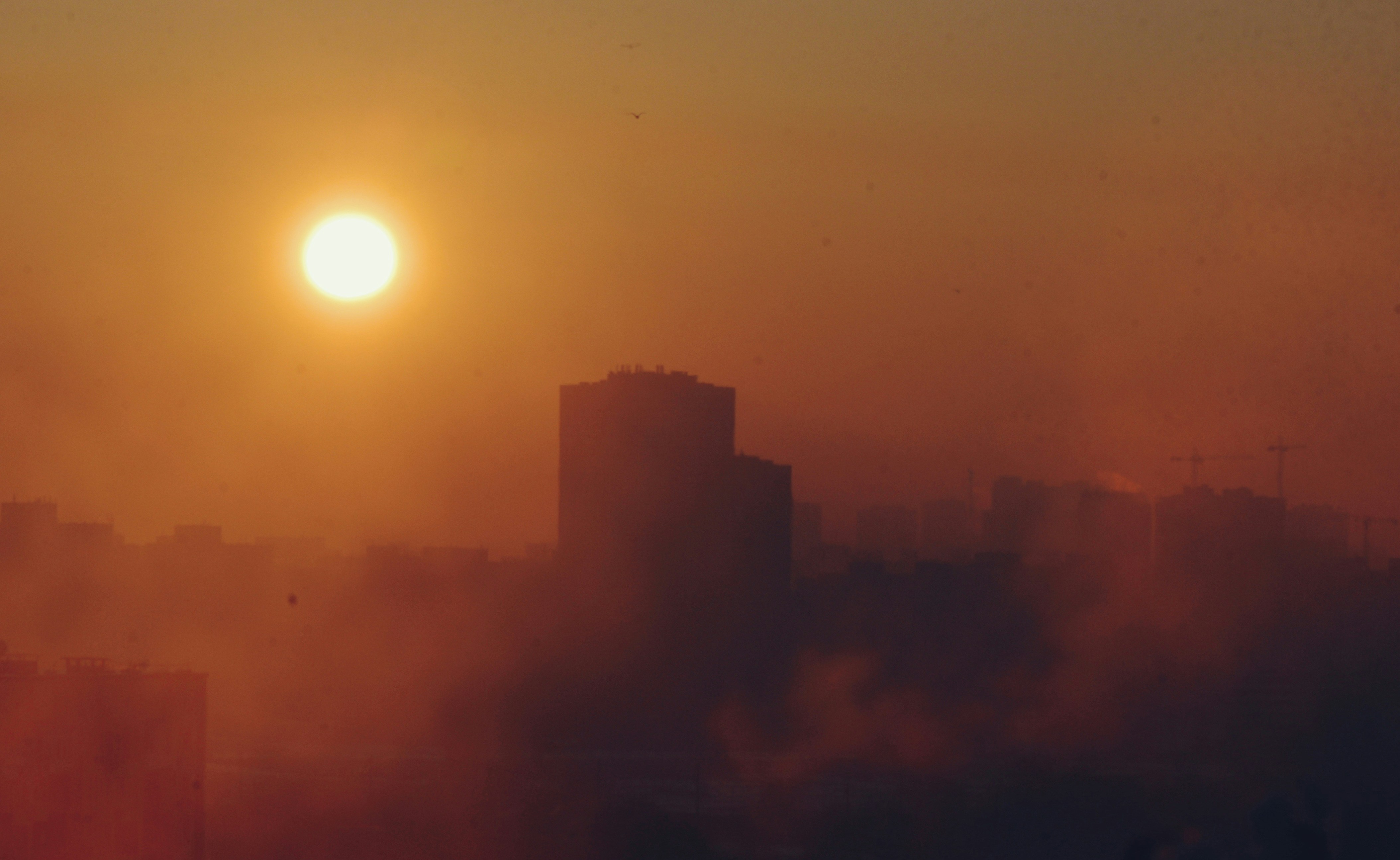 Photo by cherstve_pechivo