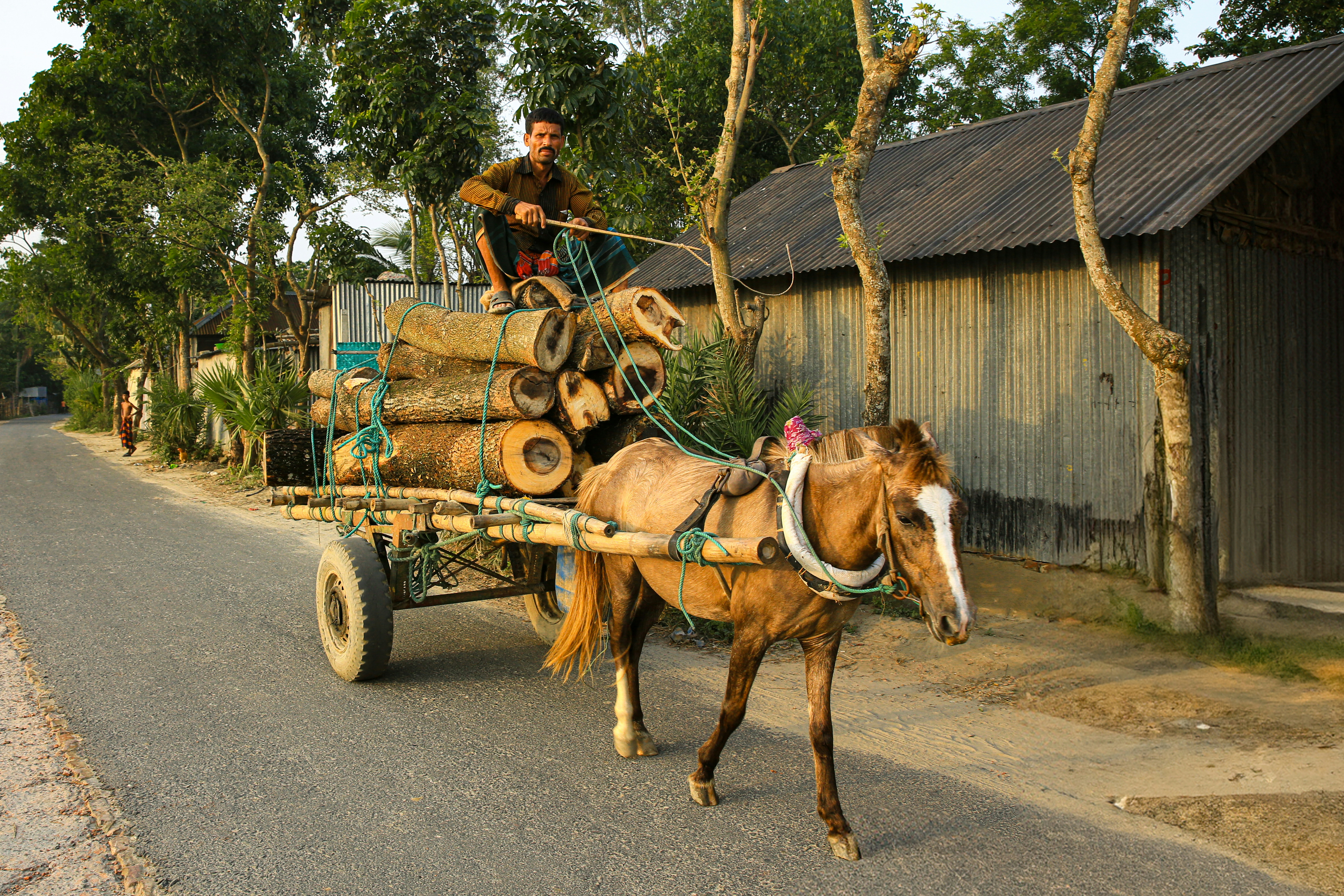 Man riding horse-drawn cart with logs on road.