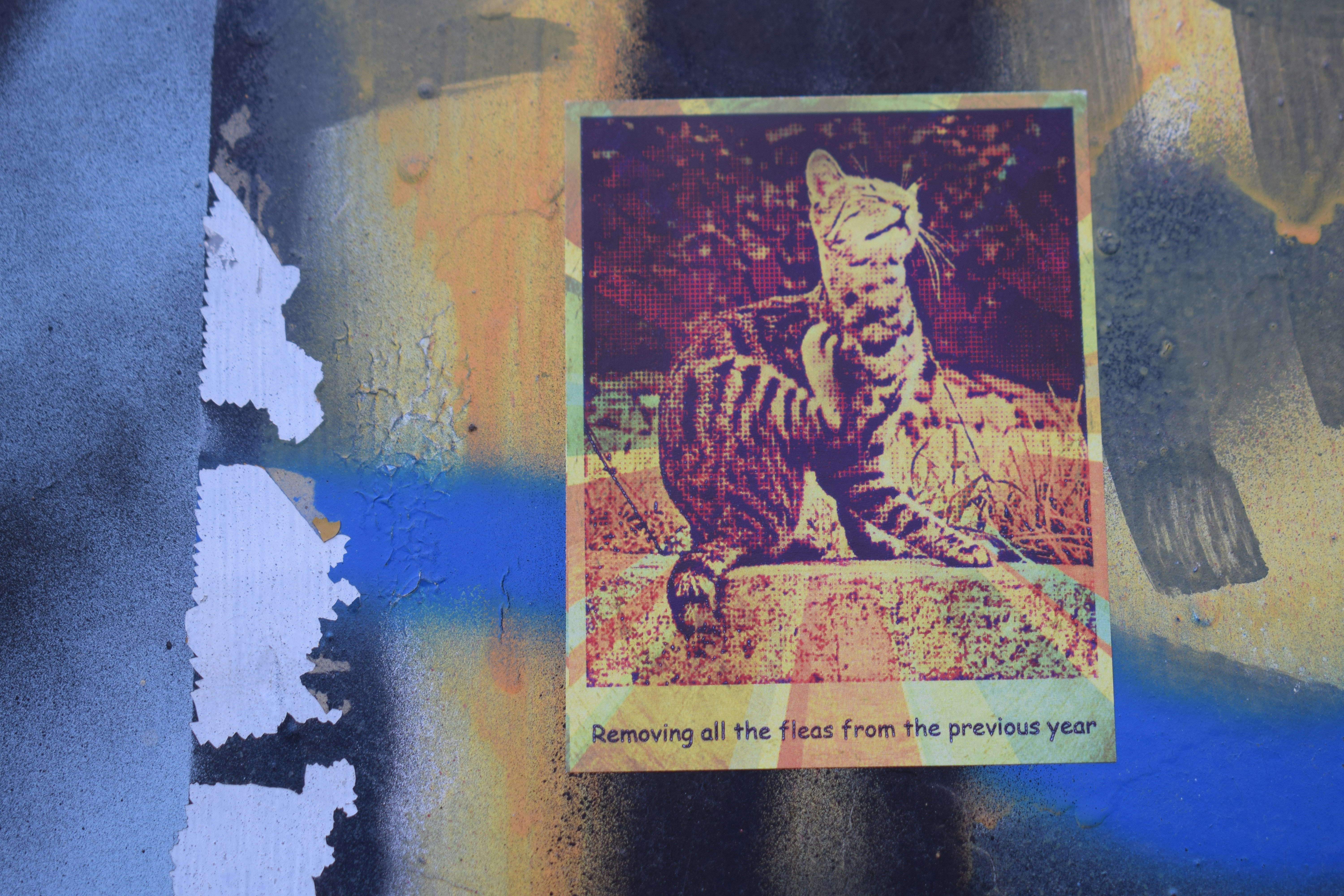 A sticker of a cat scratching itself on a wall.