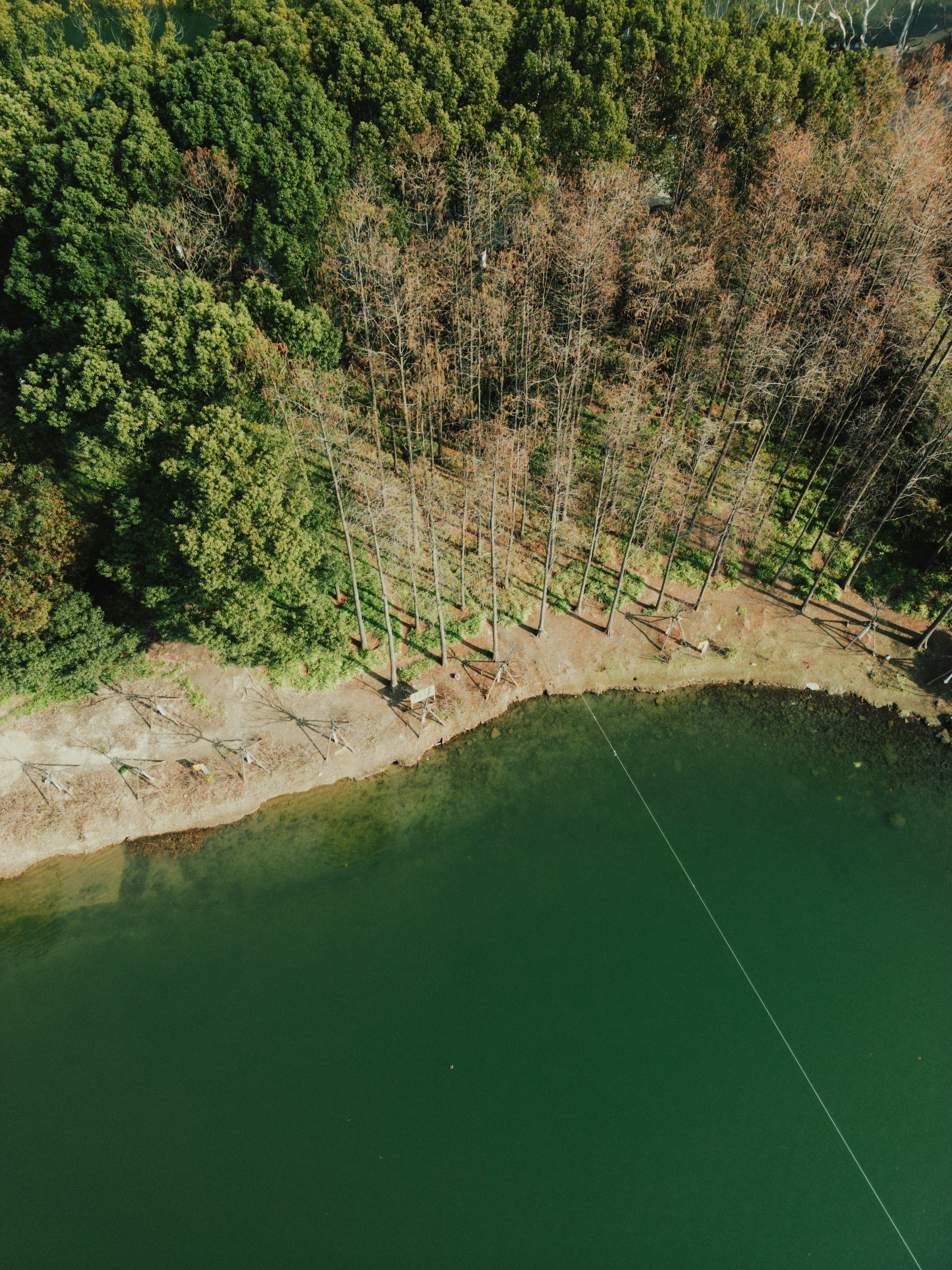 Photo by pandabeyond